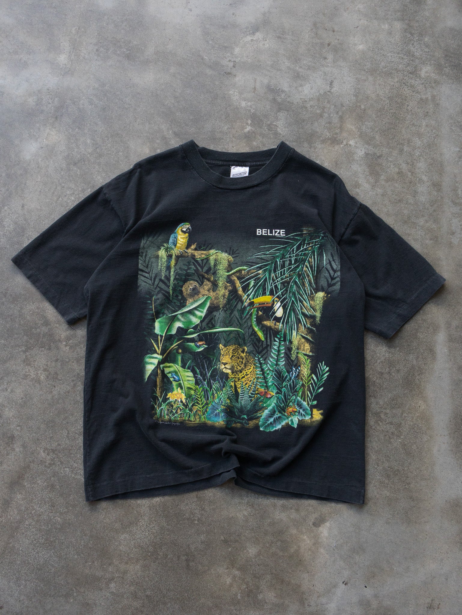Vintage 90s Belize Jungle Graphic Tee (XL)