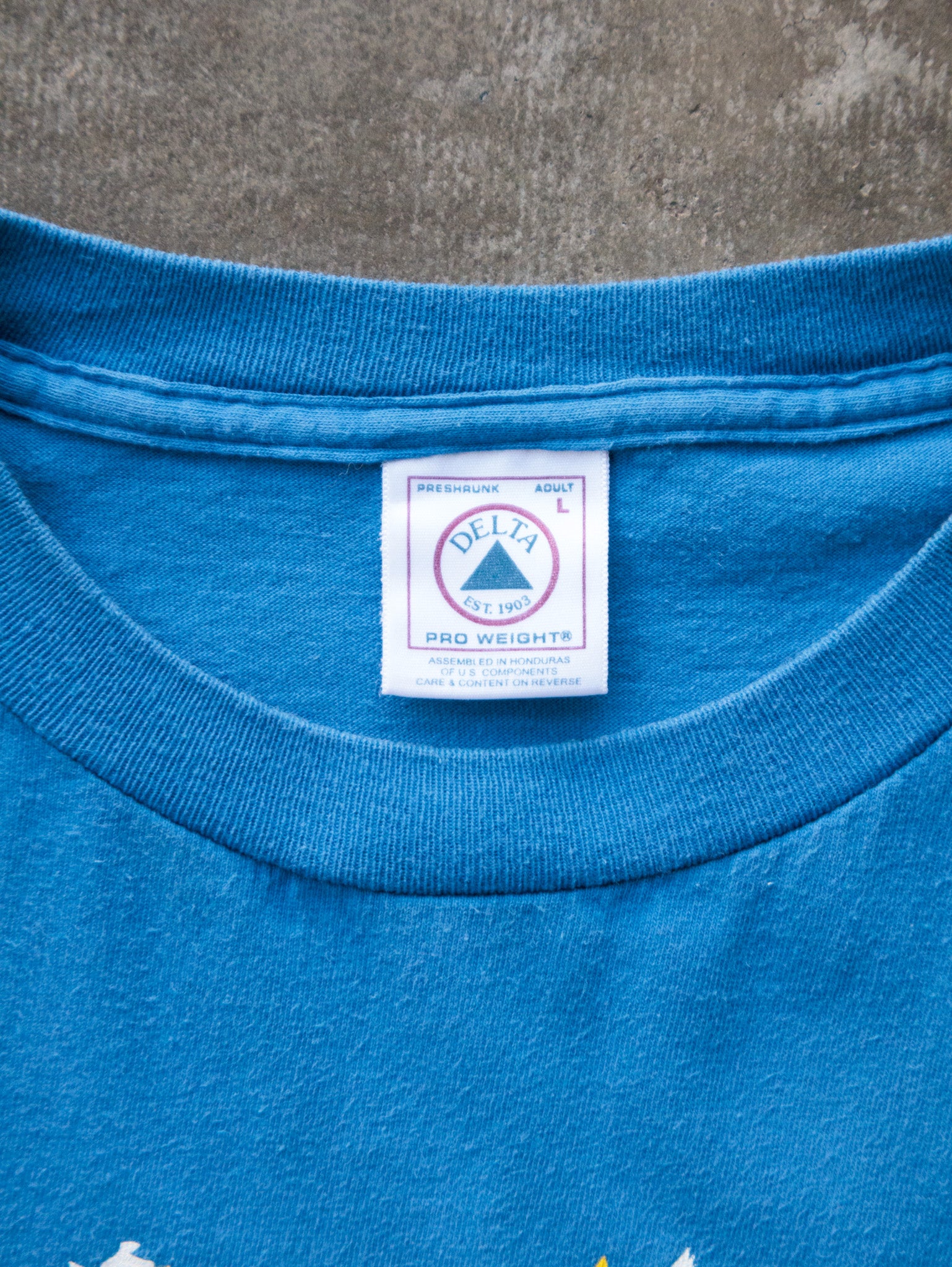 Vintage 00s Blue Bobby Hamilton Graphic Tee (L)