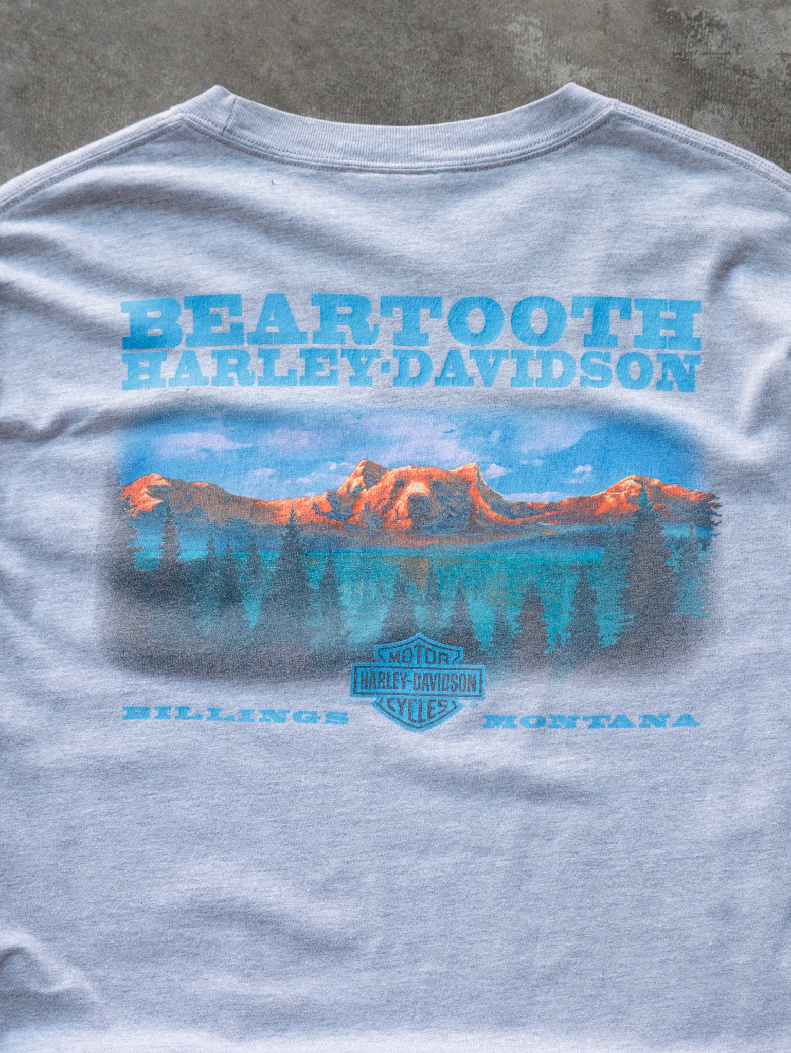 Vintage 2000 Grey Harley-Davidson Billings Montana Long Sleeve (XL)