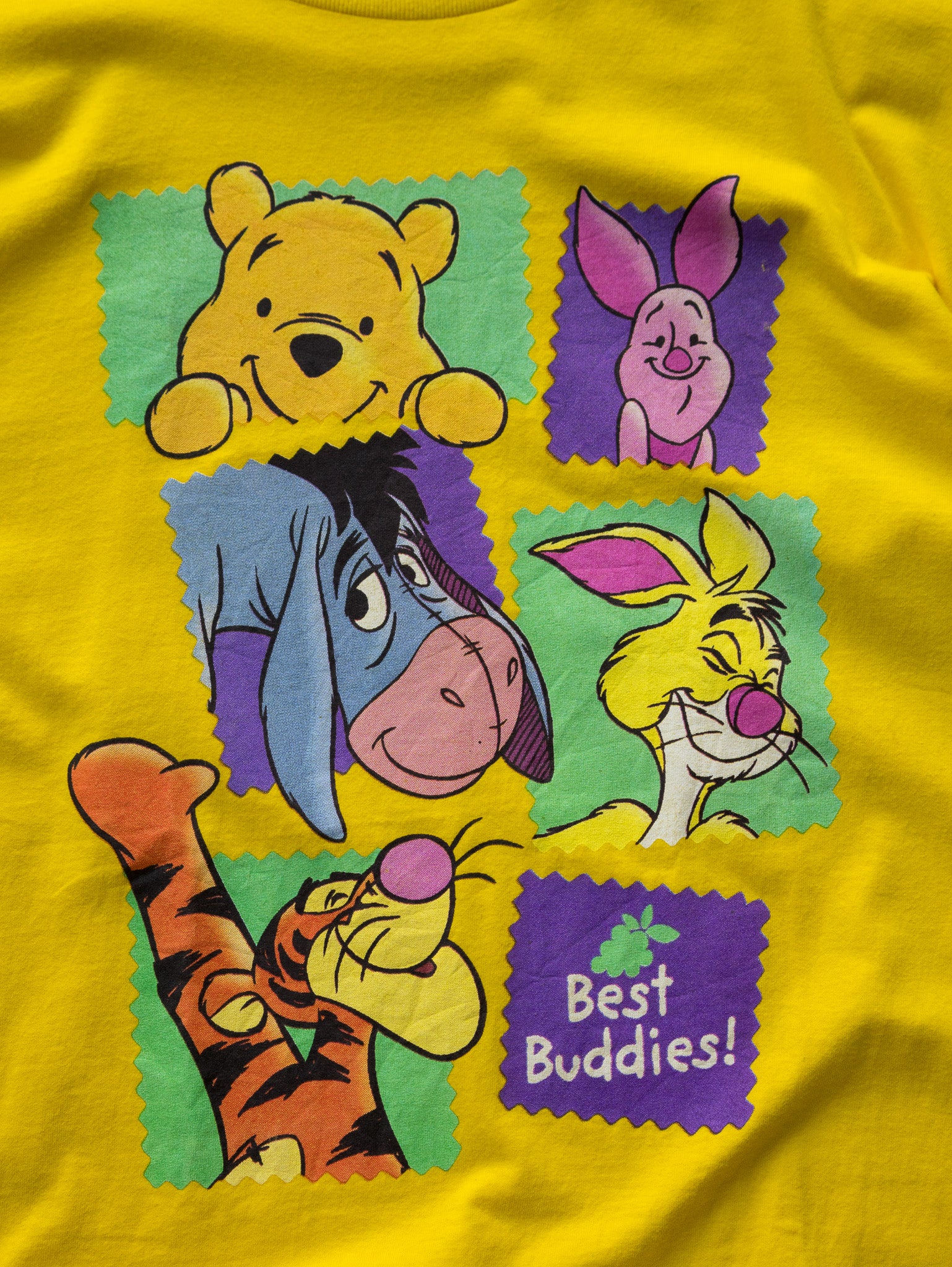 Vintage 00s Disney Pooh & Friends Best Buddies Tee (2XL)