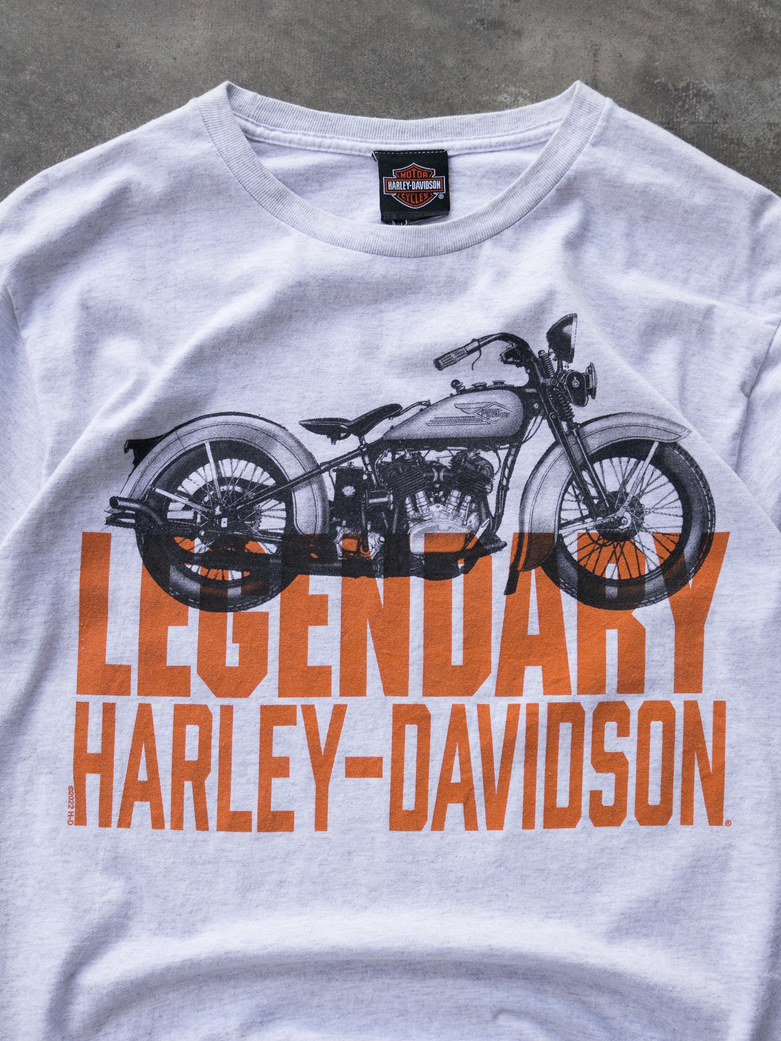 Grey Harley-Davidson Graphic Tee (S)