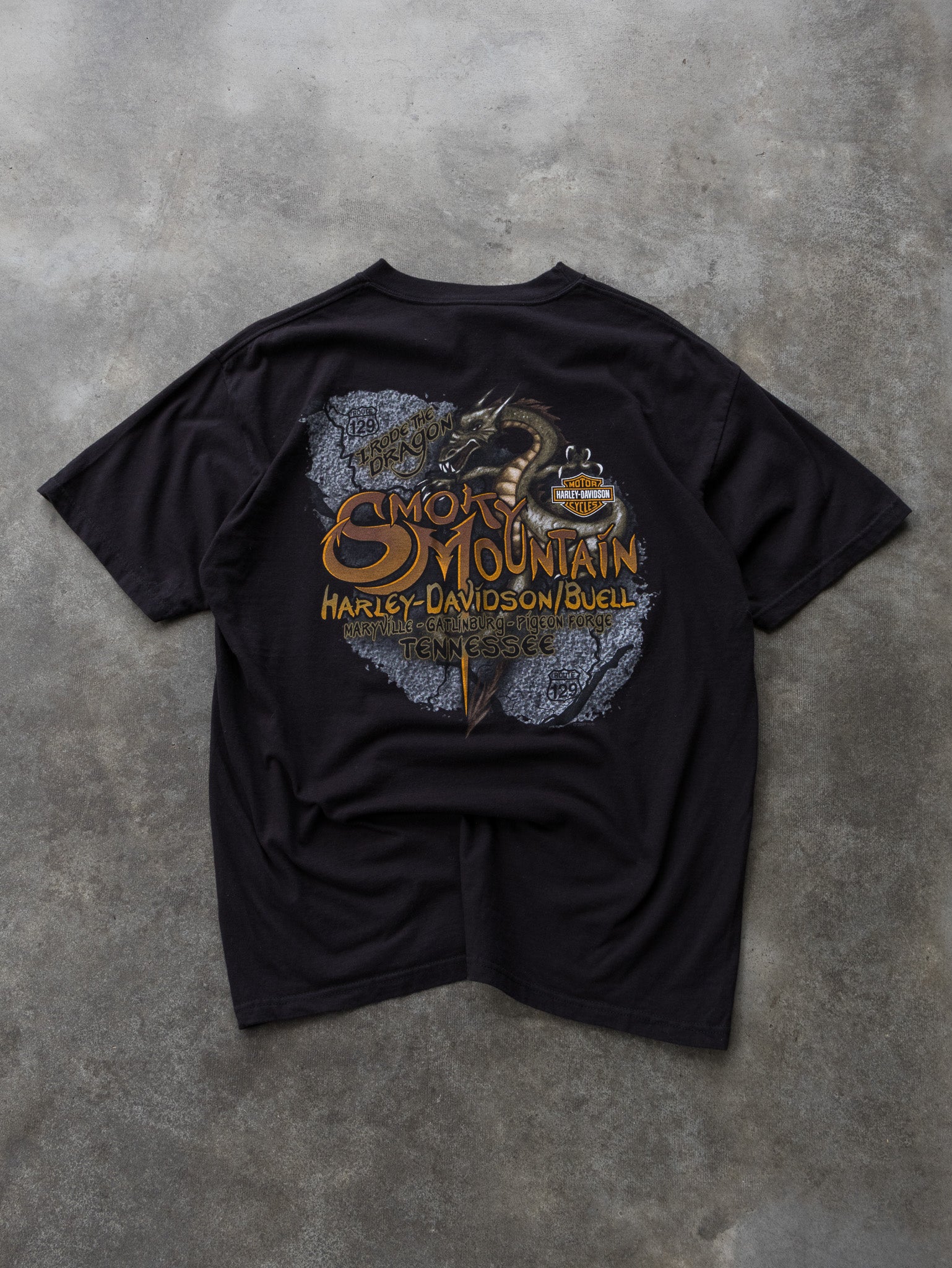 Vintage 2007 Harley-Davidson Smoky Mountain Tennessee Tee (L)