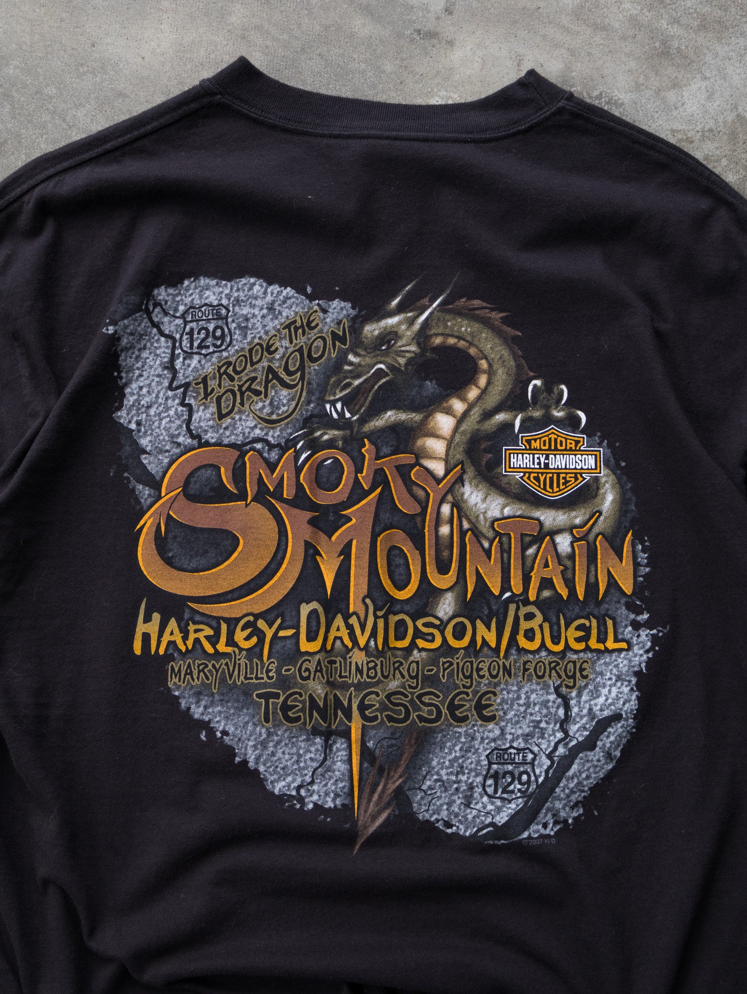 Vintage 2007 Harley-Davidson Smoky Mountain Tennessee Tee (L)