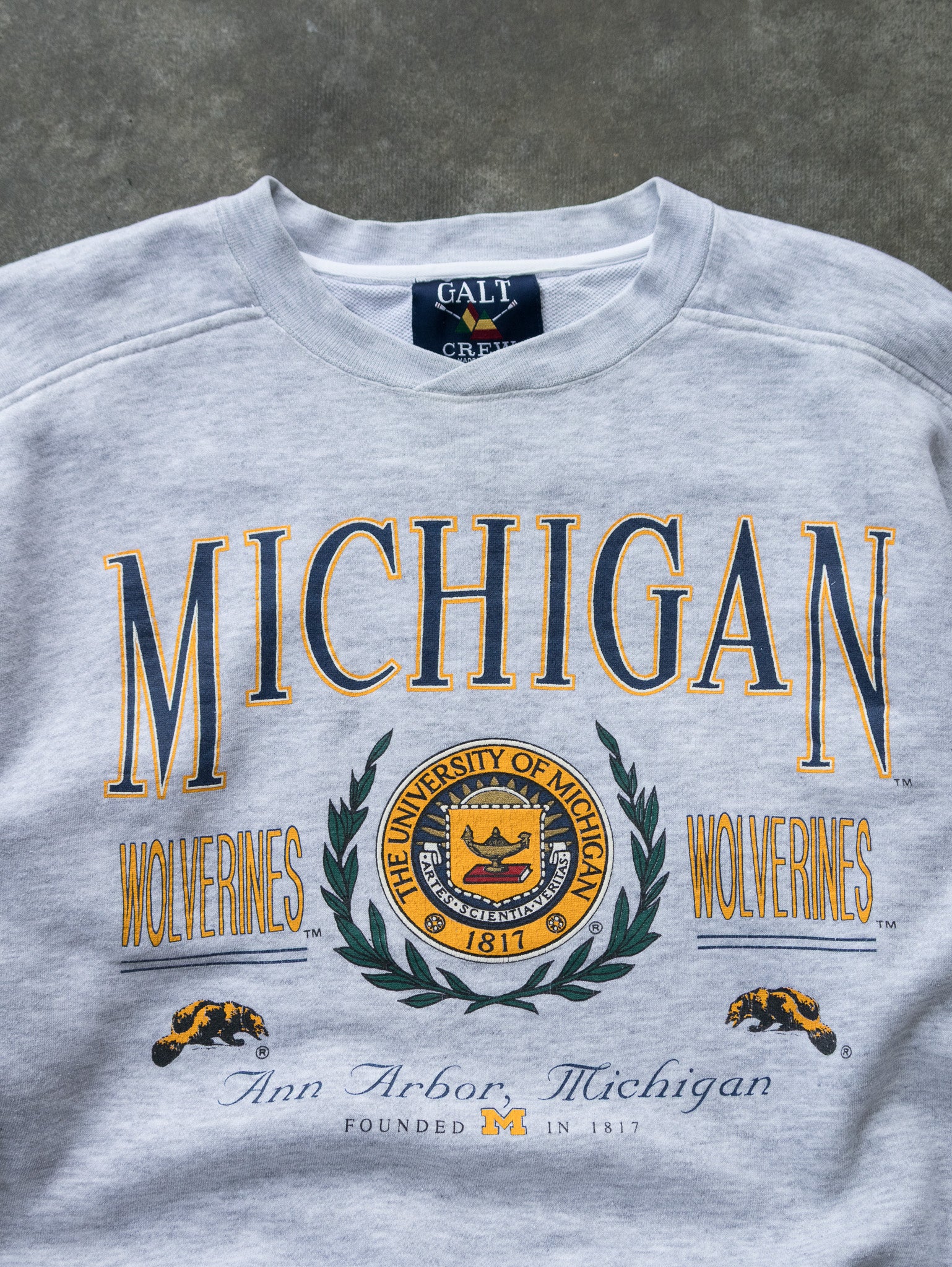 Vintage Grey Michigan Wolverines Sweatshirt (L)