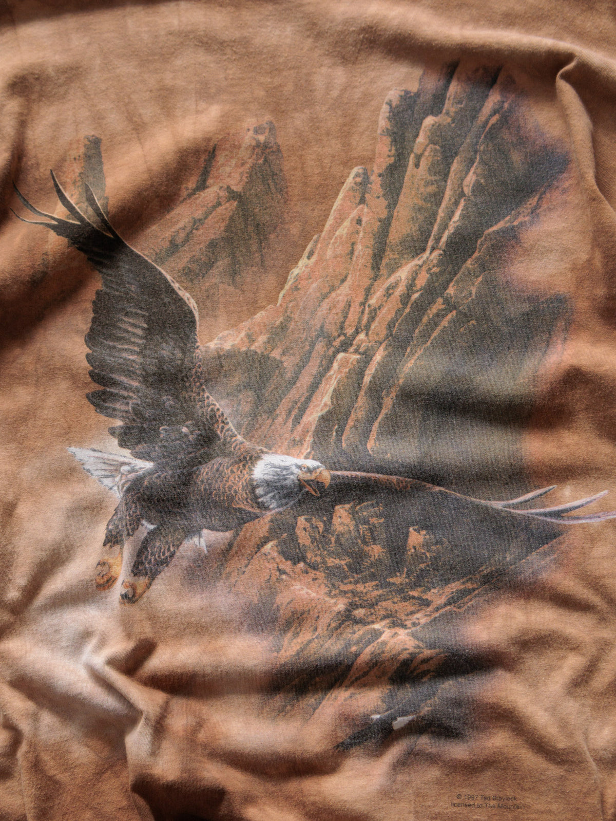 Vintage 90s Brown The Mountain Bald Eagle Tee (2XL)