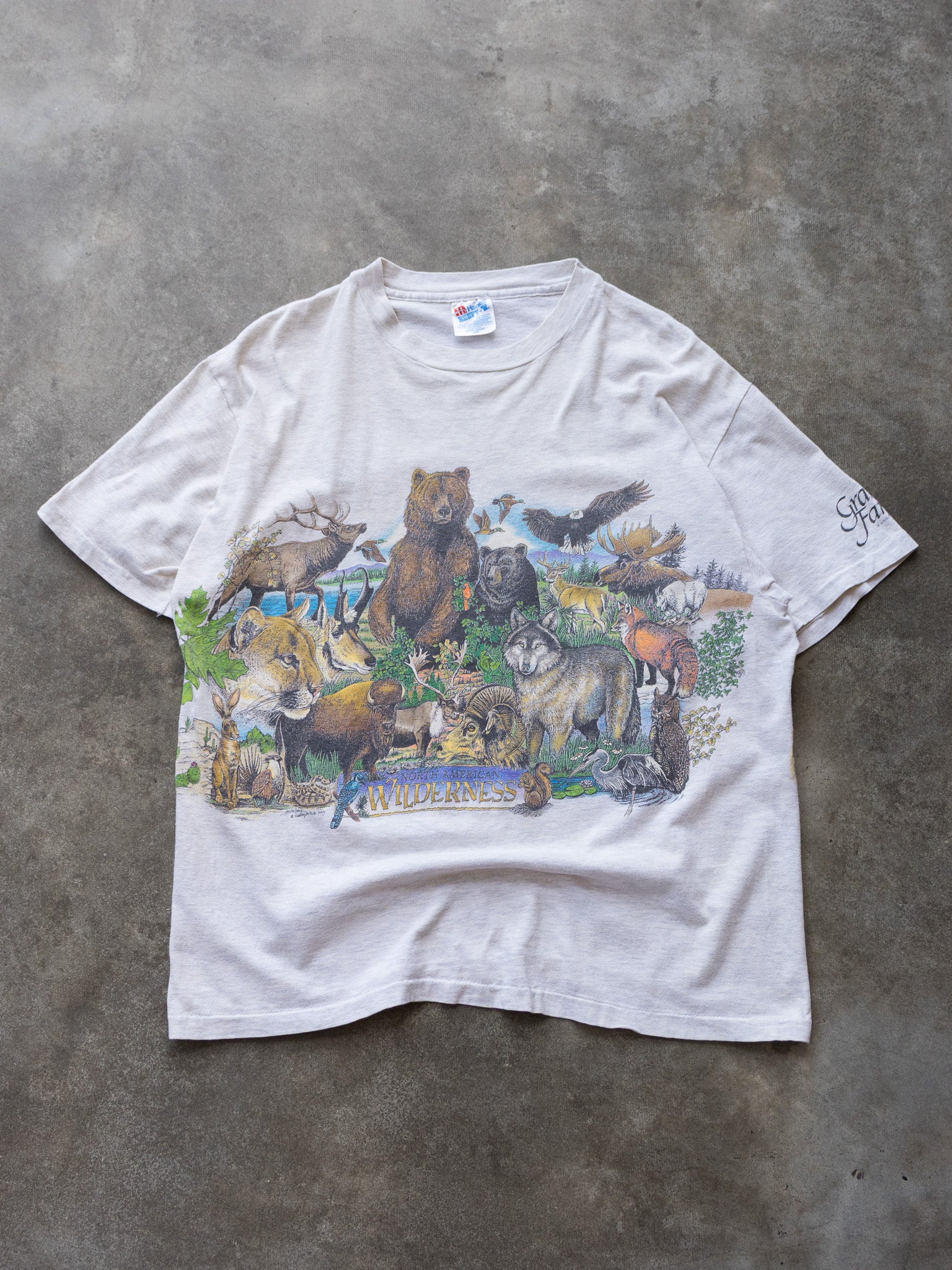 Vintage 90s Grant's Farm Missouri North American Wilderness Tee (L)