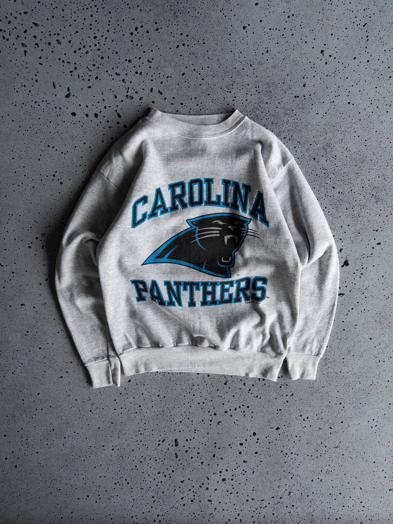 Vintage Carolina Panthers 1993 Sweatshirt (L)