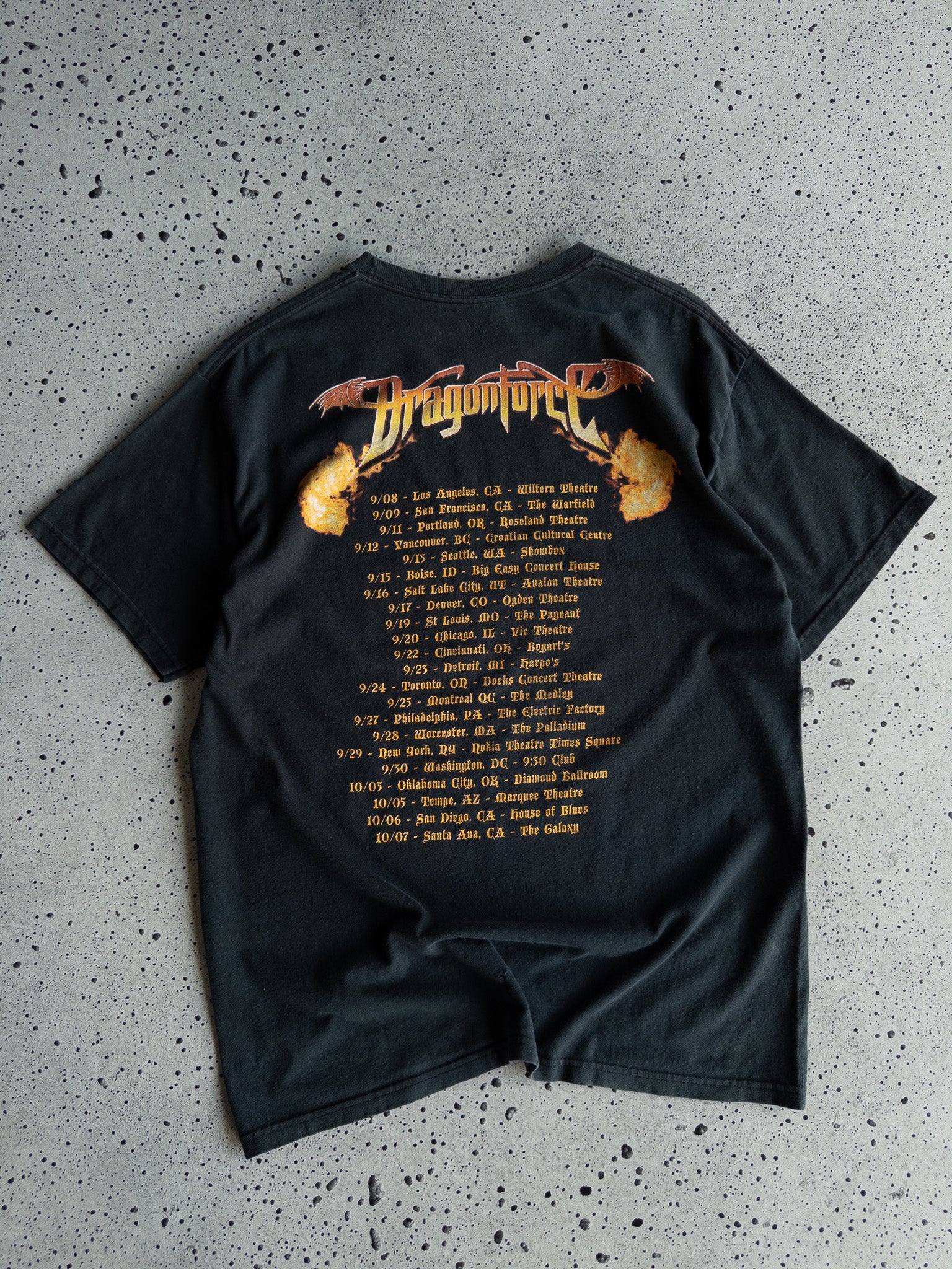 Vintage Dragonforce Tour Tee (L)