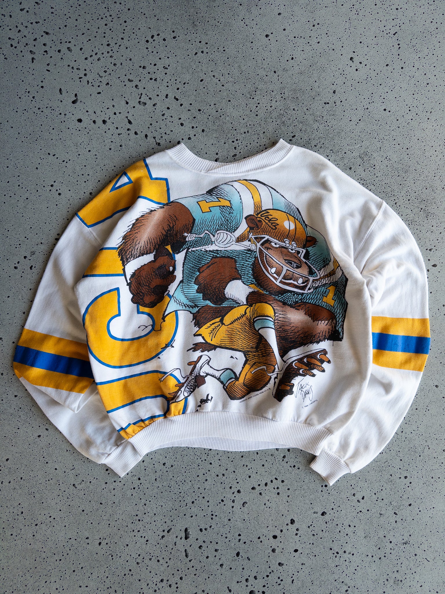 Vintage 1989 UCLA Bruins Sweatshirt (M)