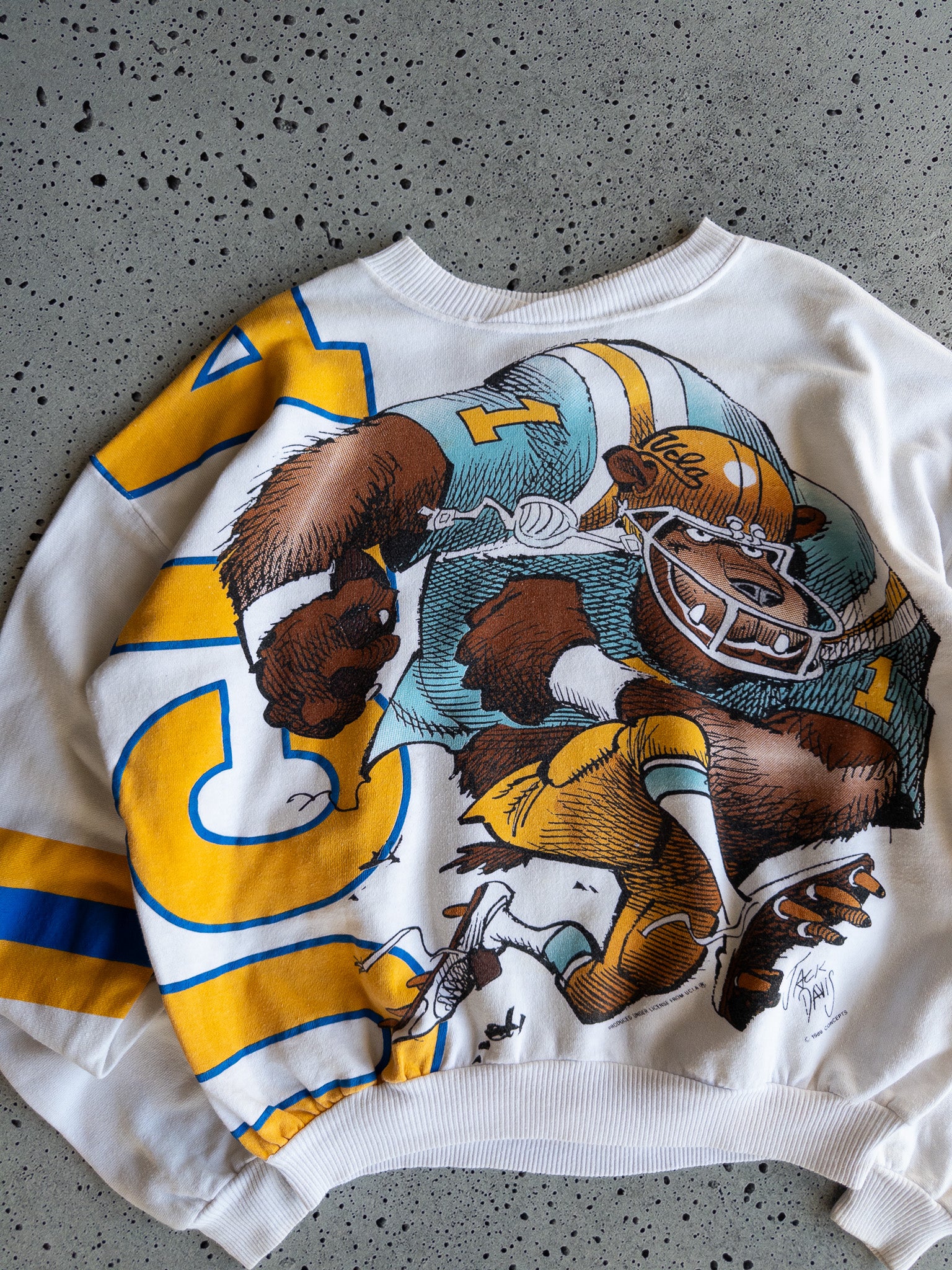 Vintage 1989 UCLA Bruins Sweatshirt (M)