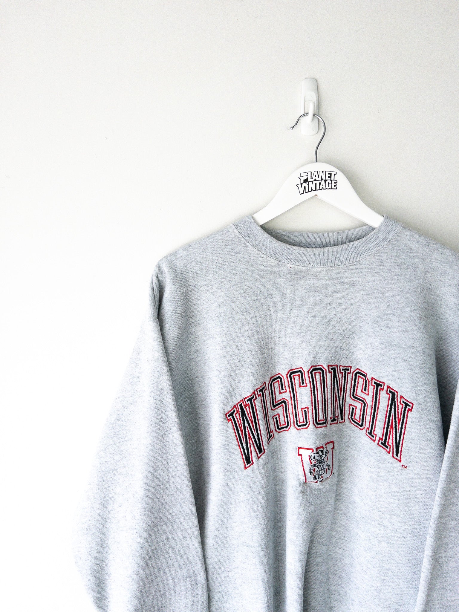 Vintage Wisconsin Badgers Sweatshirt (L)