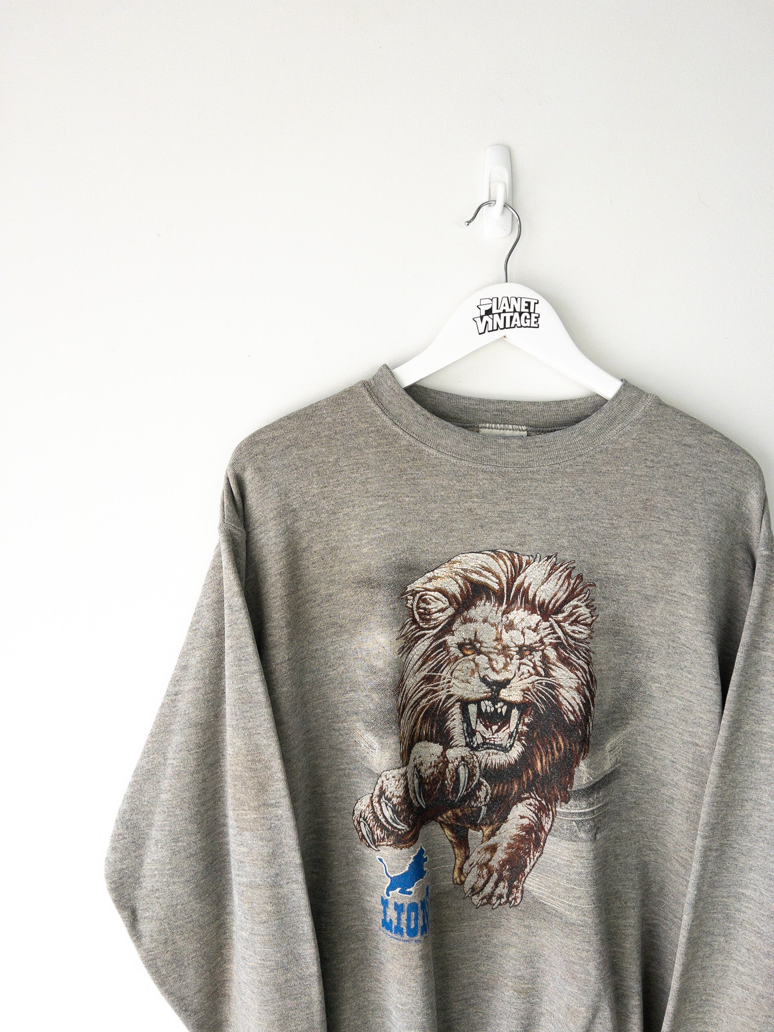 Vintage Detroit Lions Sweatshirt (M)