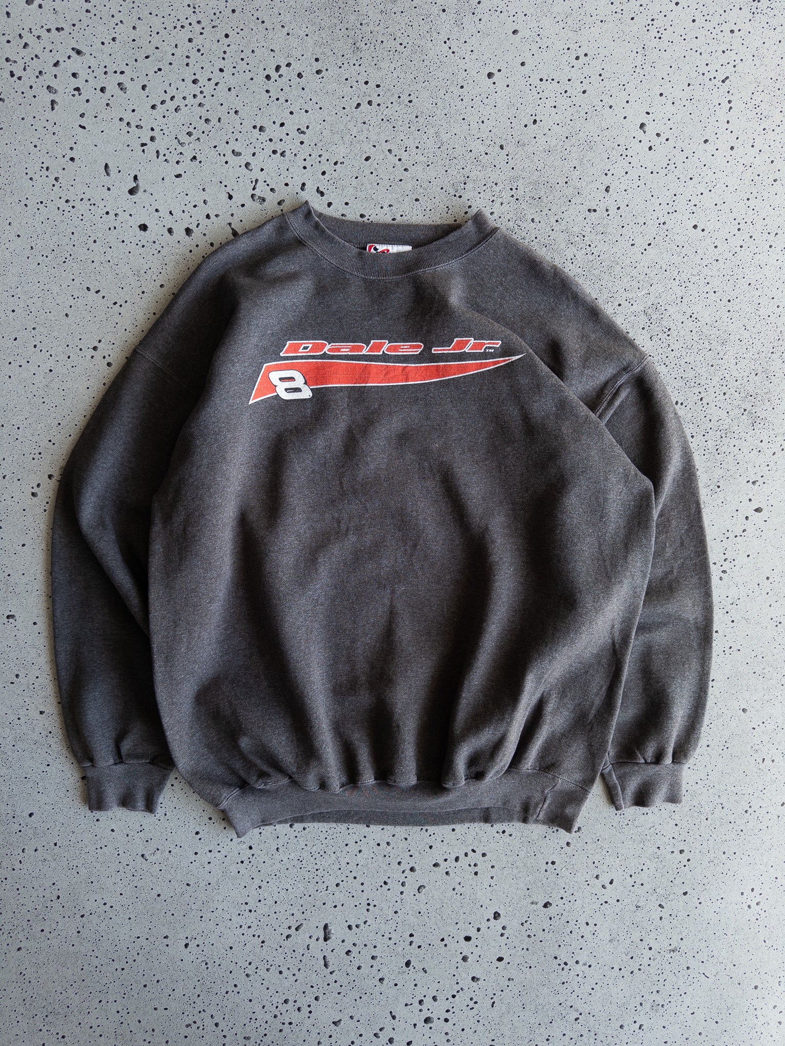 Vintage Dale Jr Nascar Sweatshirt (L)