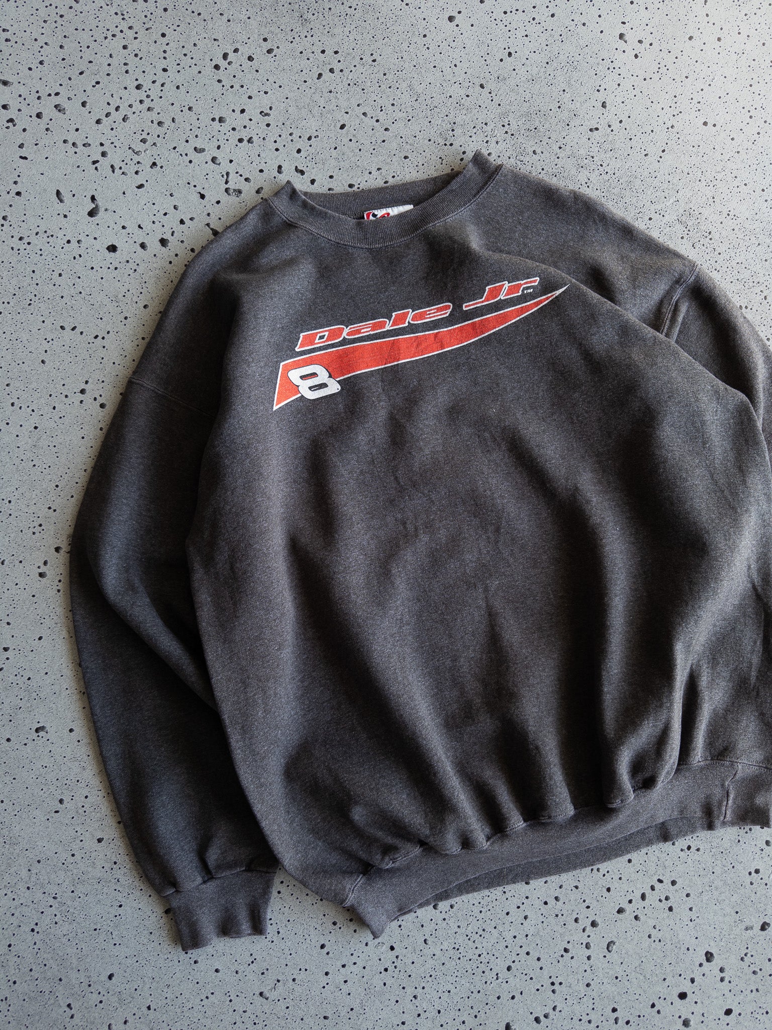 Vintage Dale Jr Nascar Sweatshirt (L)