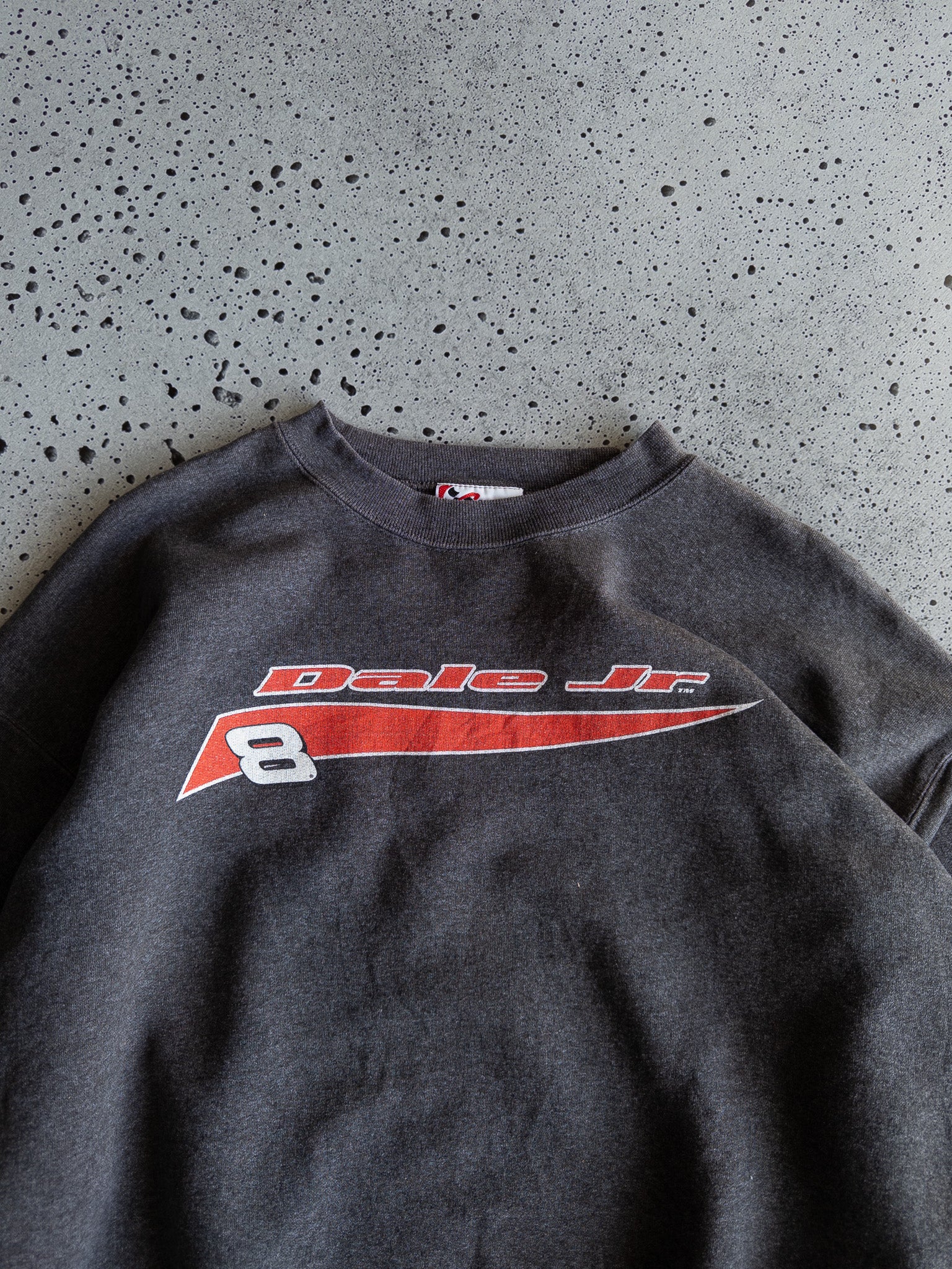 Vintage Dale Jr Nascar Sweatshirt (L)