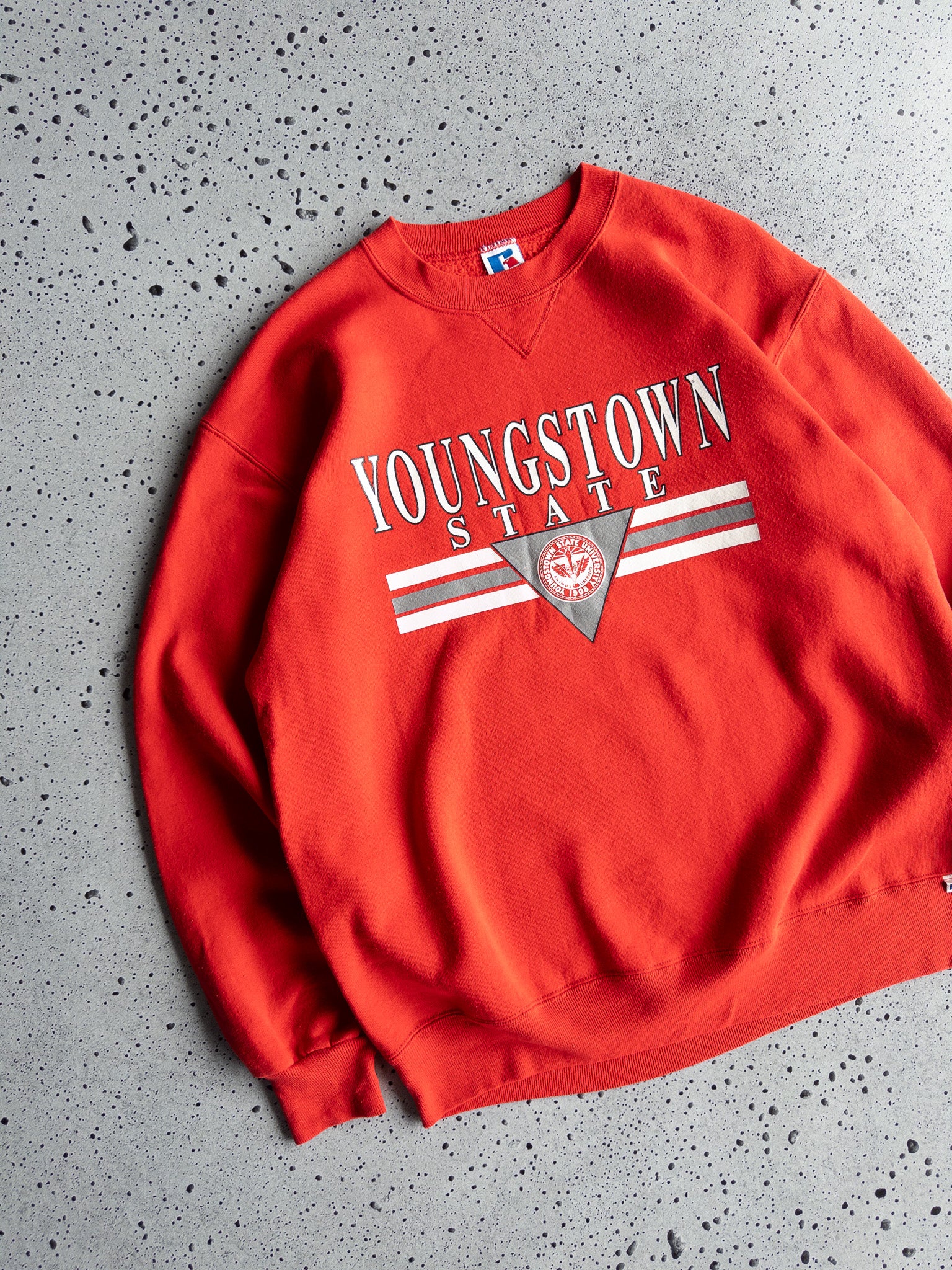 Vintage Youngstown State Sweatshirt (L)