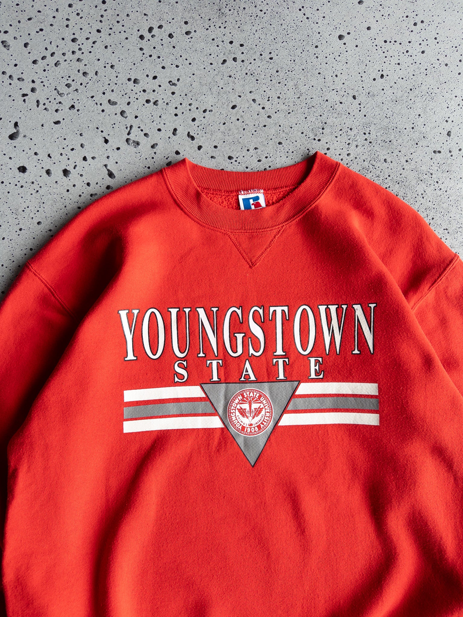 Vintage Youngstown State Sweatshirt (L)