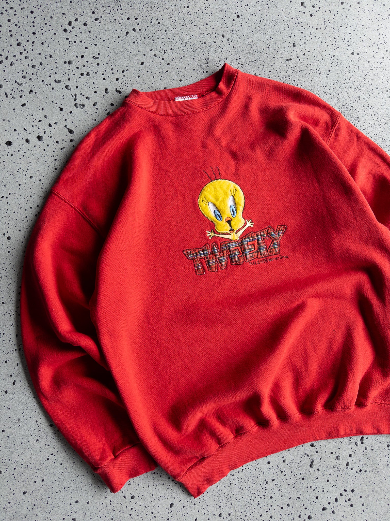 Vintage Tweety 1995 Sweatshirt (L)