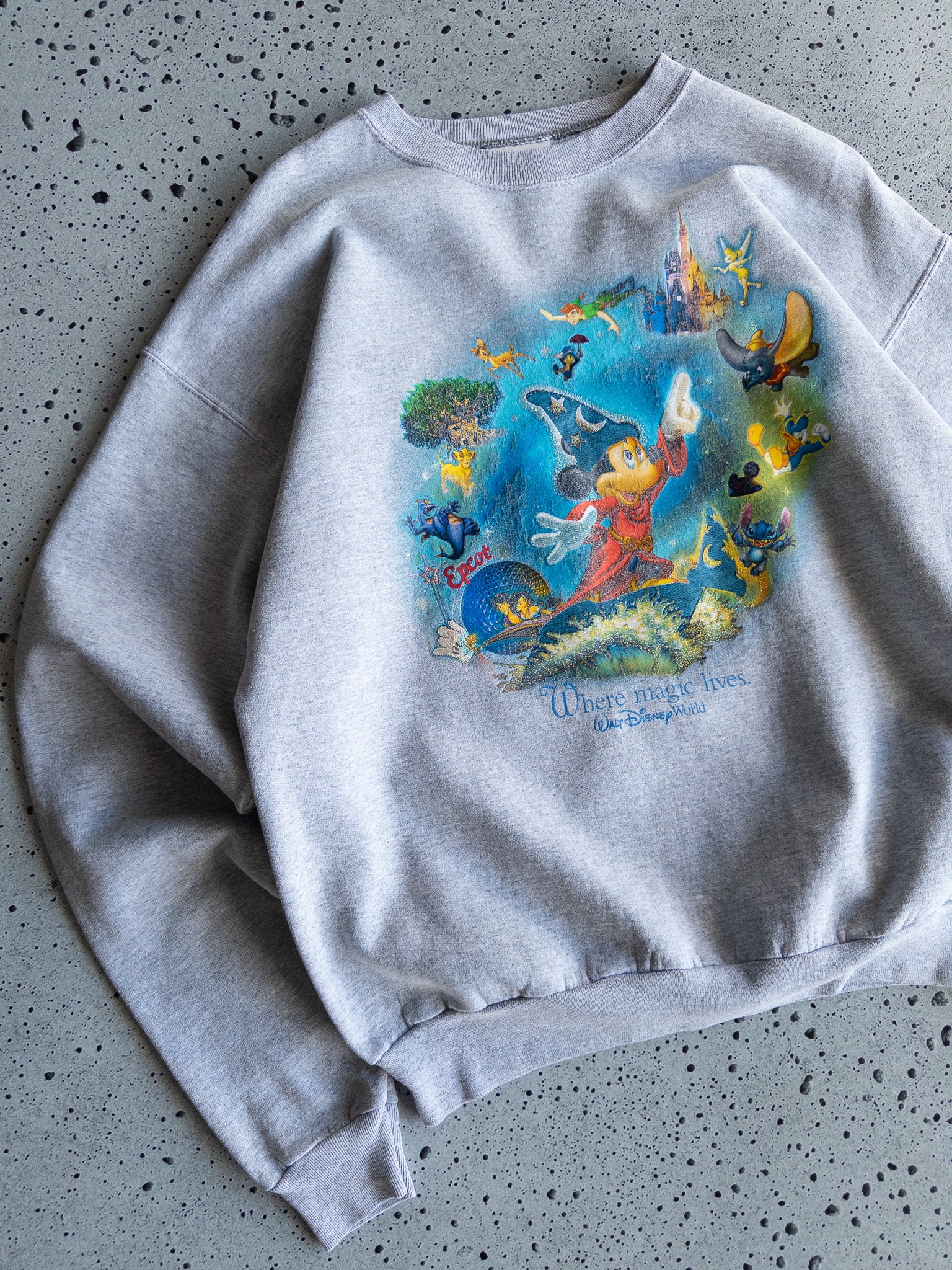 Vintage Walt Disney World Sweatshirt (L)