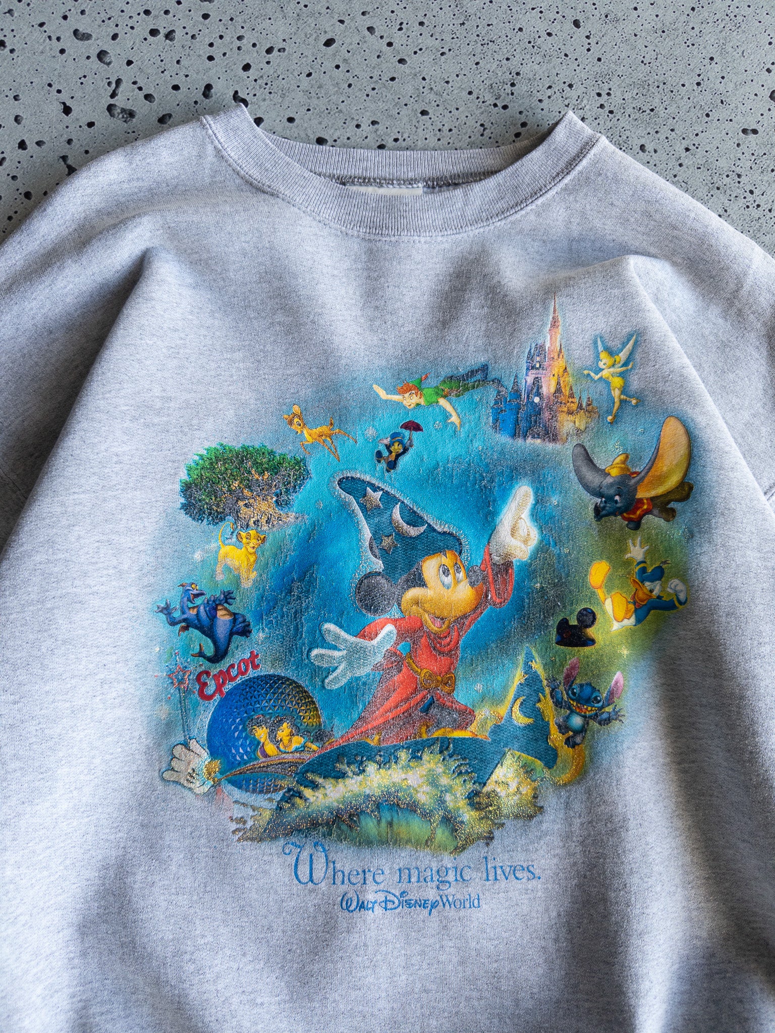 Vintage Walt Disney World Sweatshirt (L)