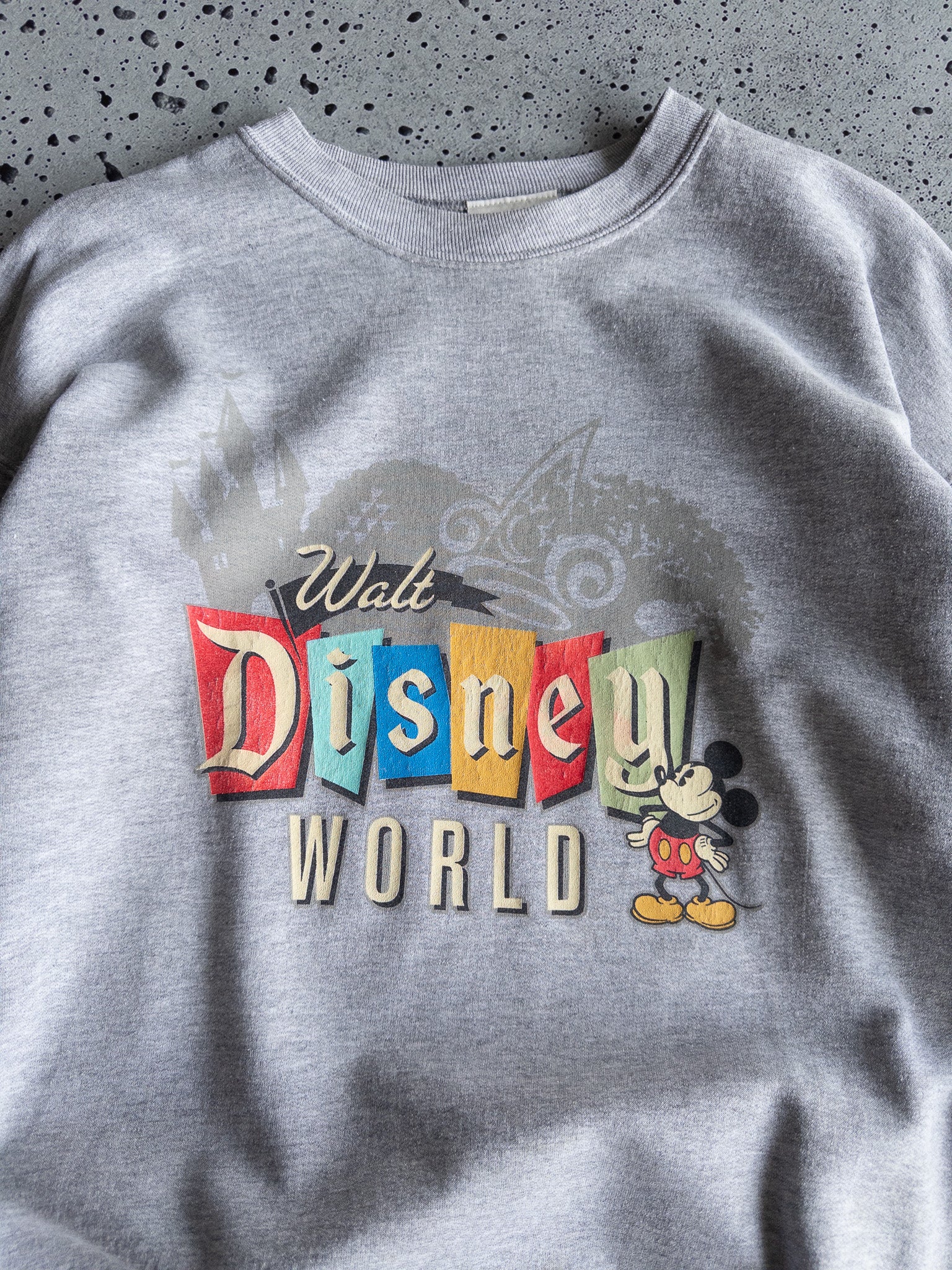 Vintage Walt Disney World Sweatshirt (L)