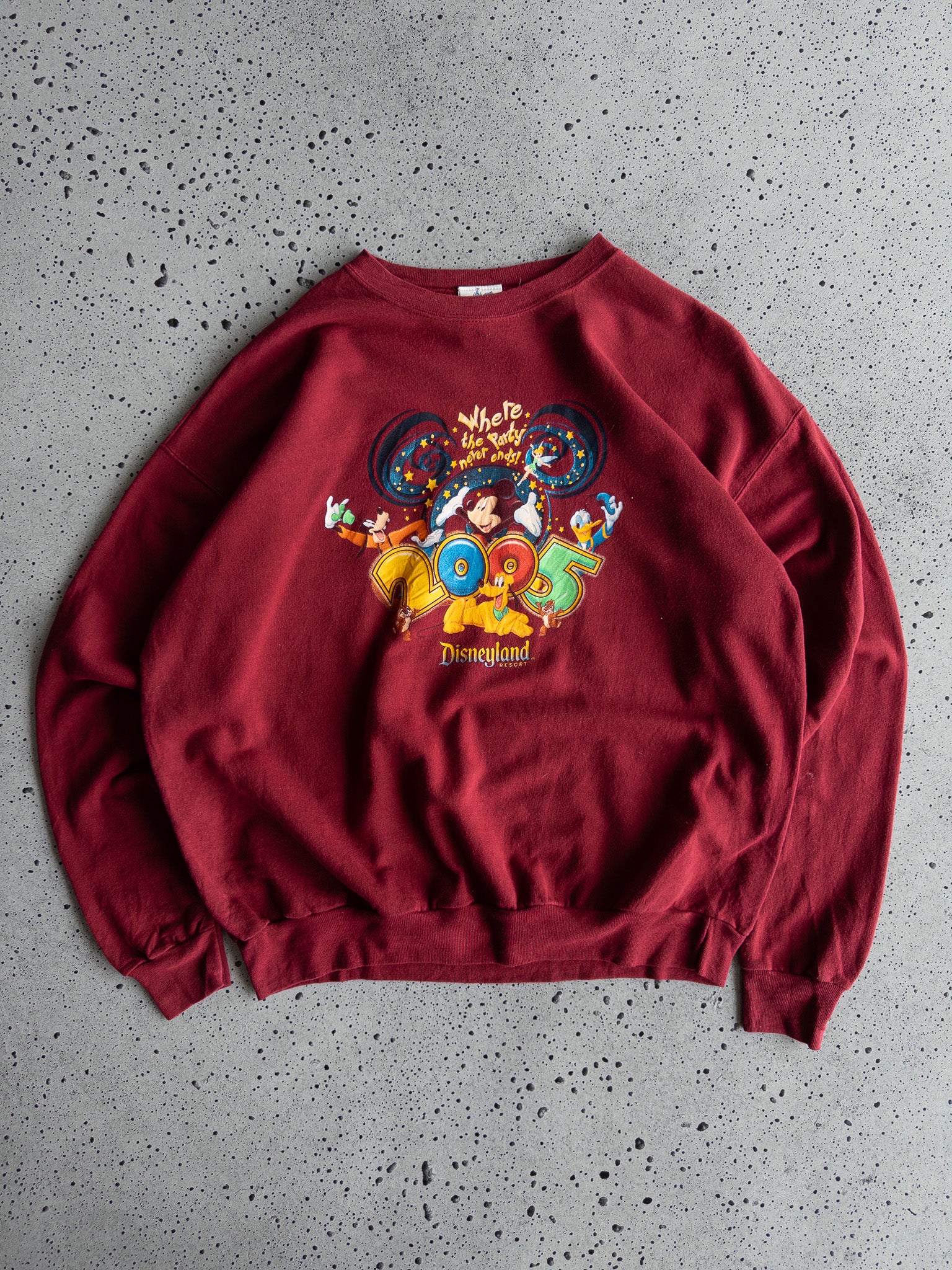 Vintage Disneyland Resort 2005 Sweatshirt (XL)