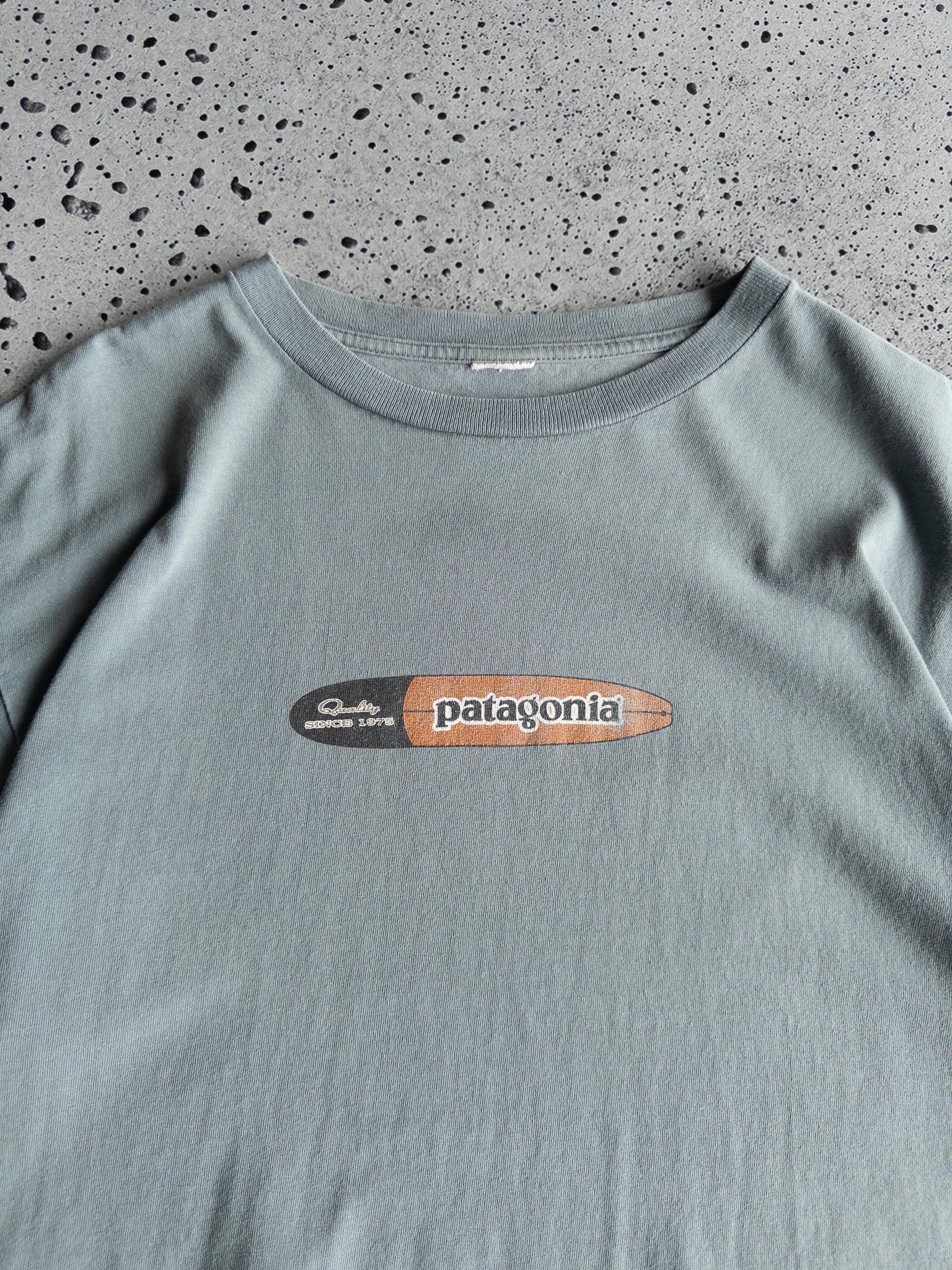 Vintage Patagonia Tee (L)