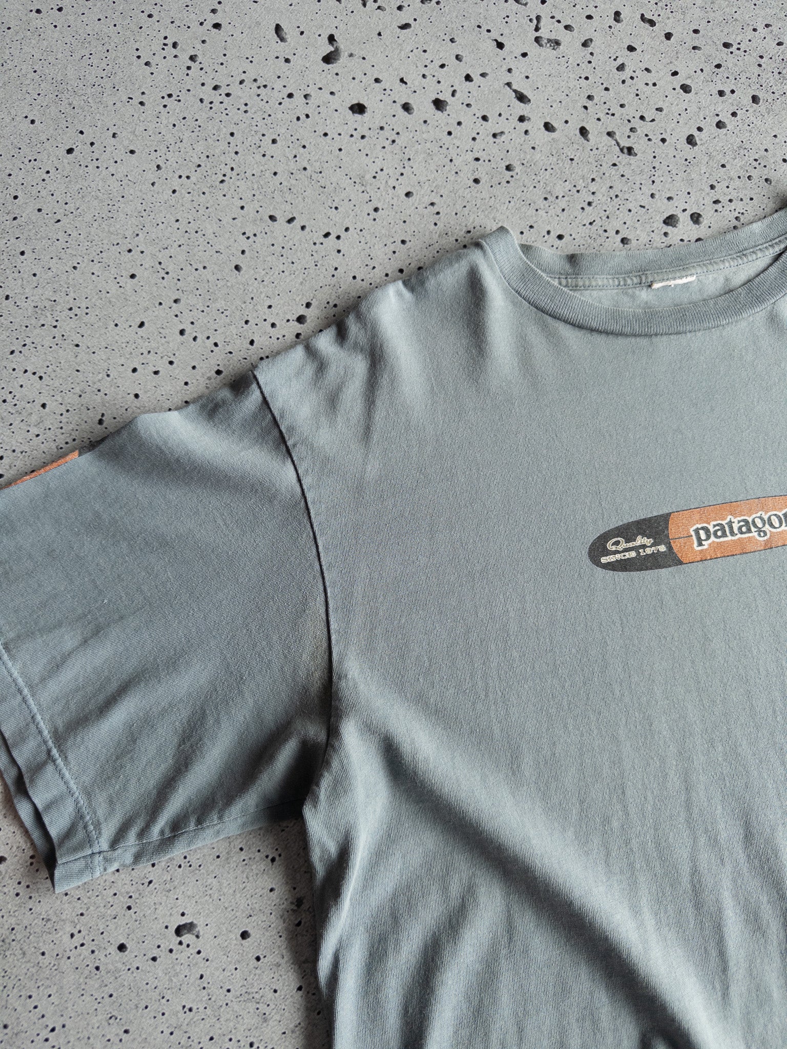 Vintage Patagonia Tee (L)