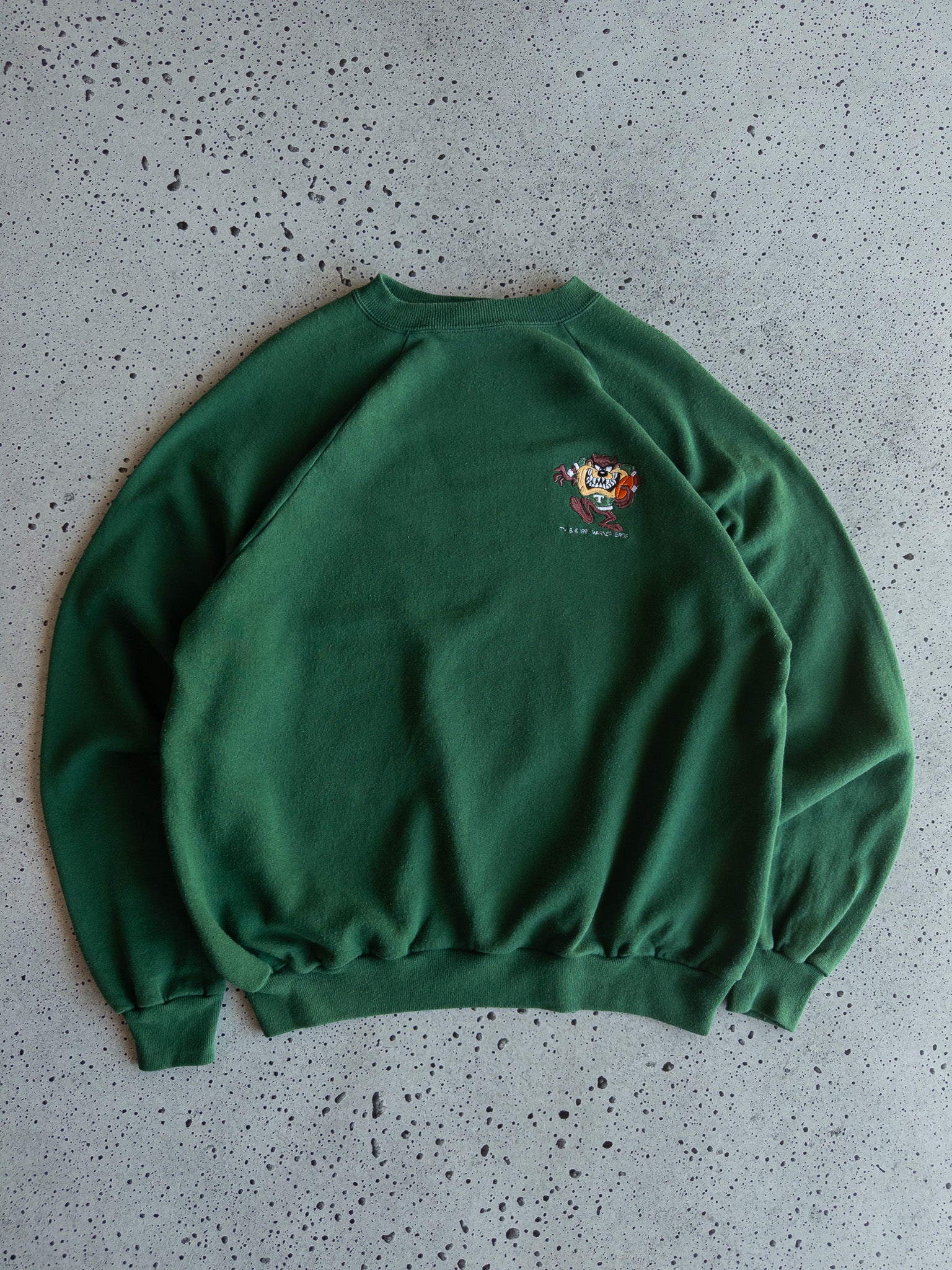 Vintage Taz 1995 Sweatshirt (XL)