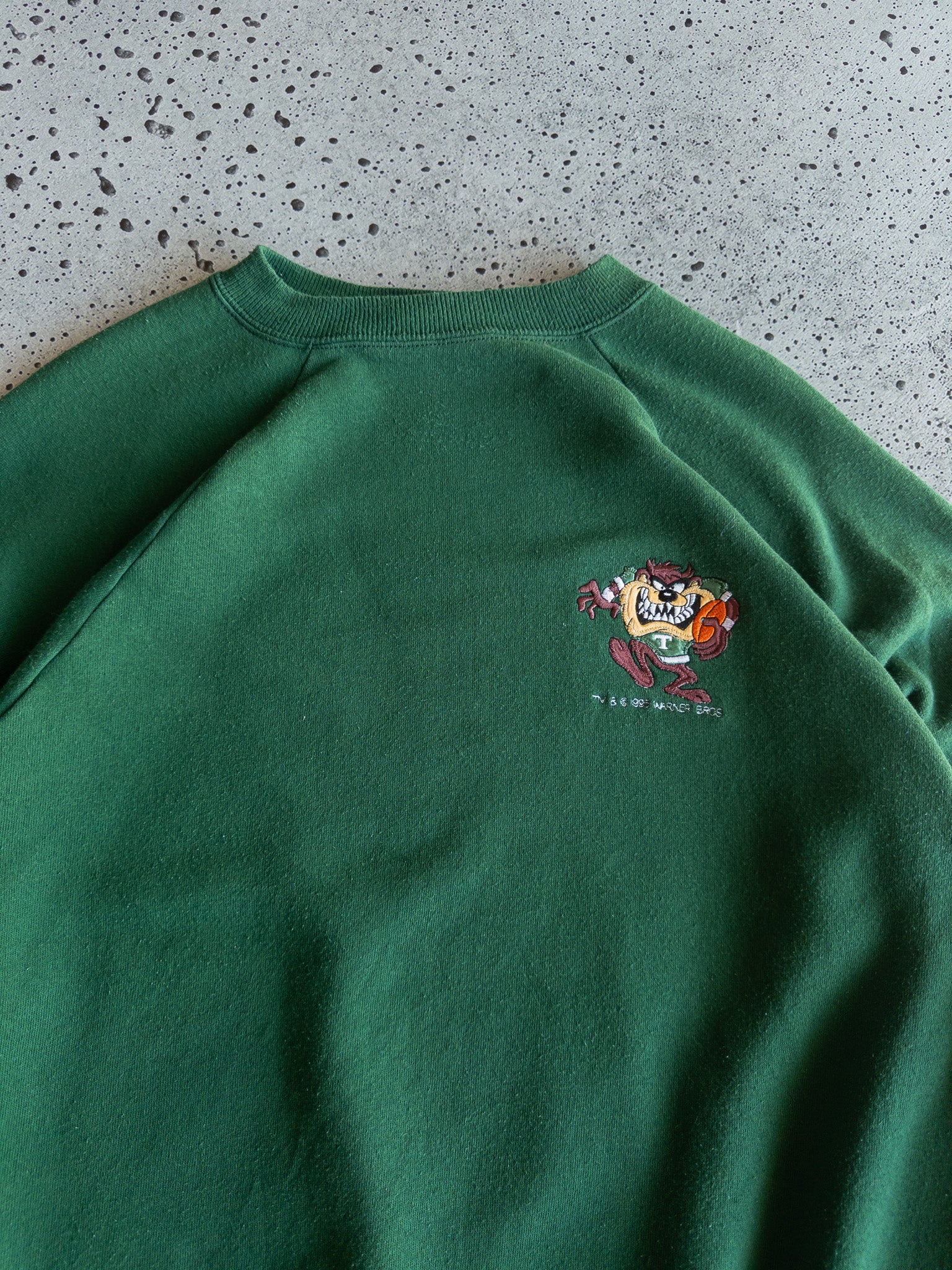 Vintage Taz 1995 Sweatshirt (XL)