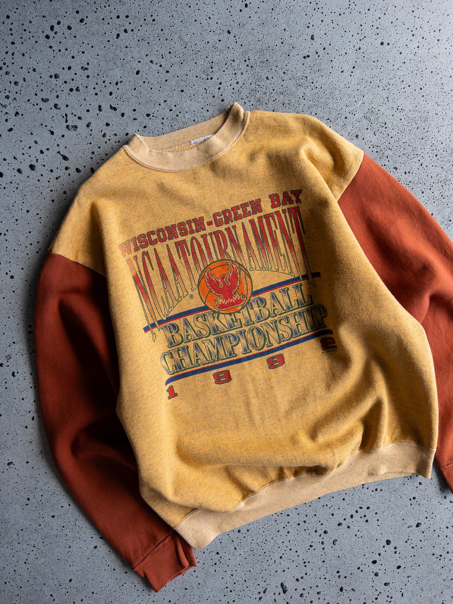 Vintage Wisconsin-Green Bay 1992 Sweatshirt (L)