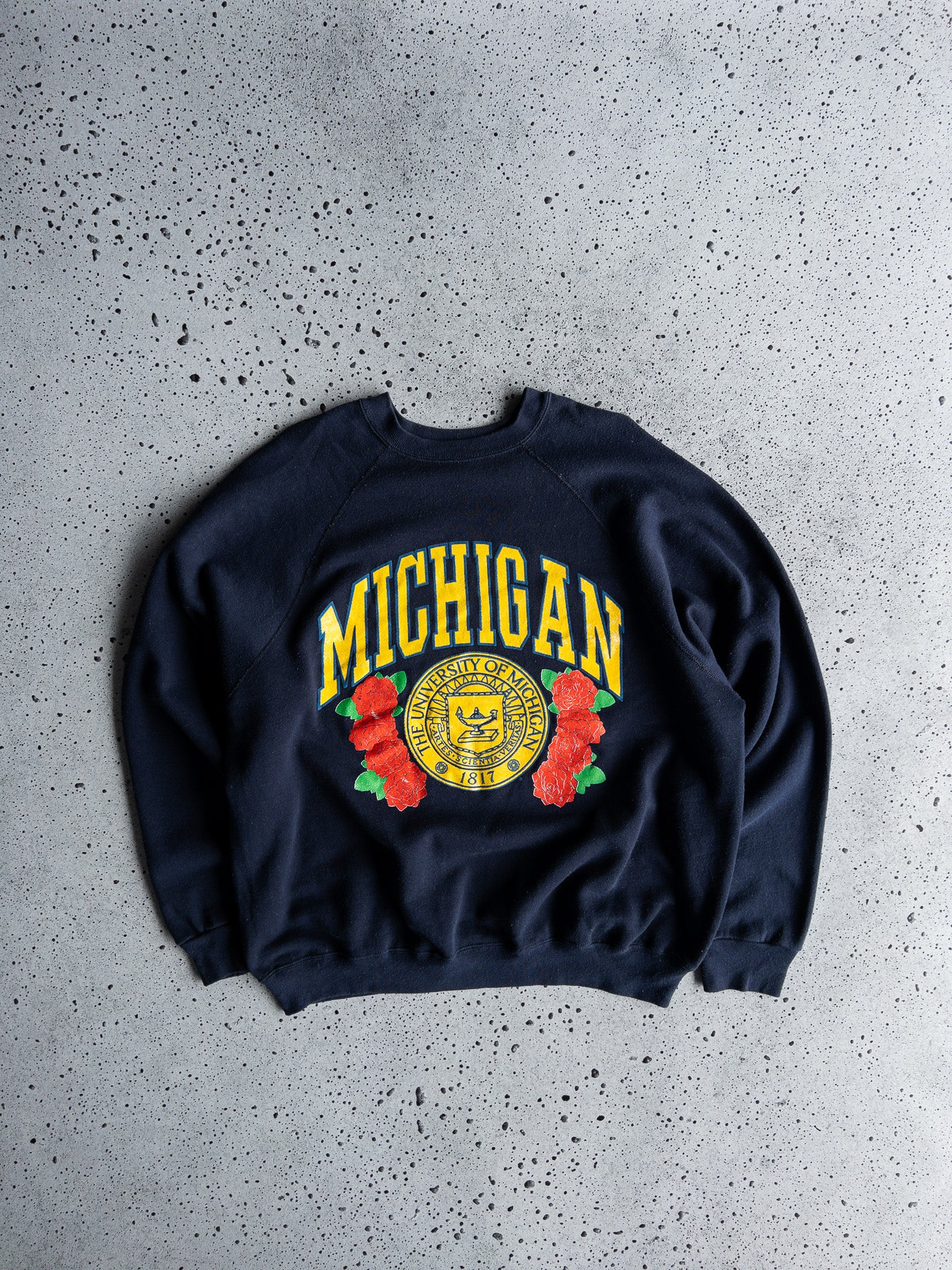Vintage University of Michigan Sweatshirt (XL)