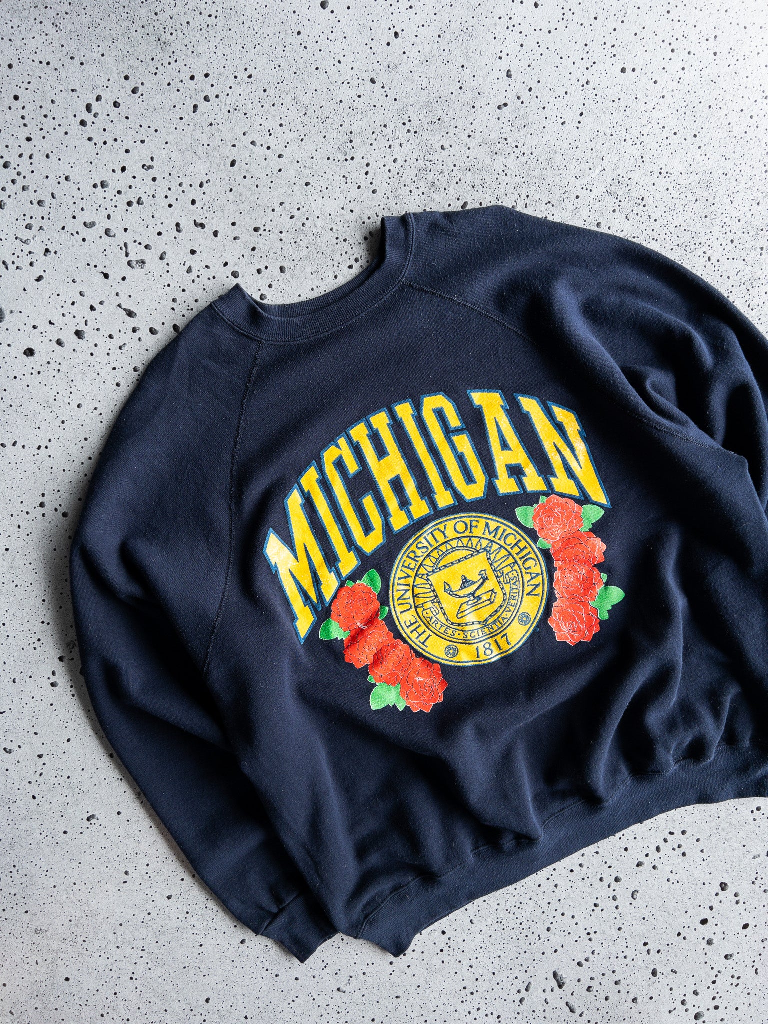 Vintage University of Michigan Sweatshirt (XL)