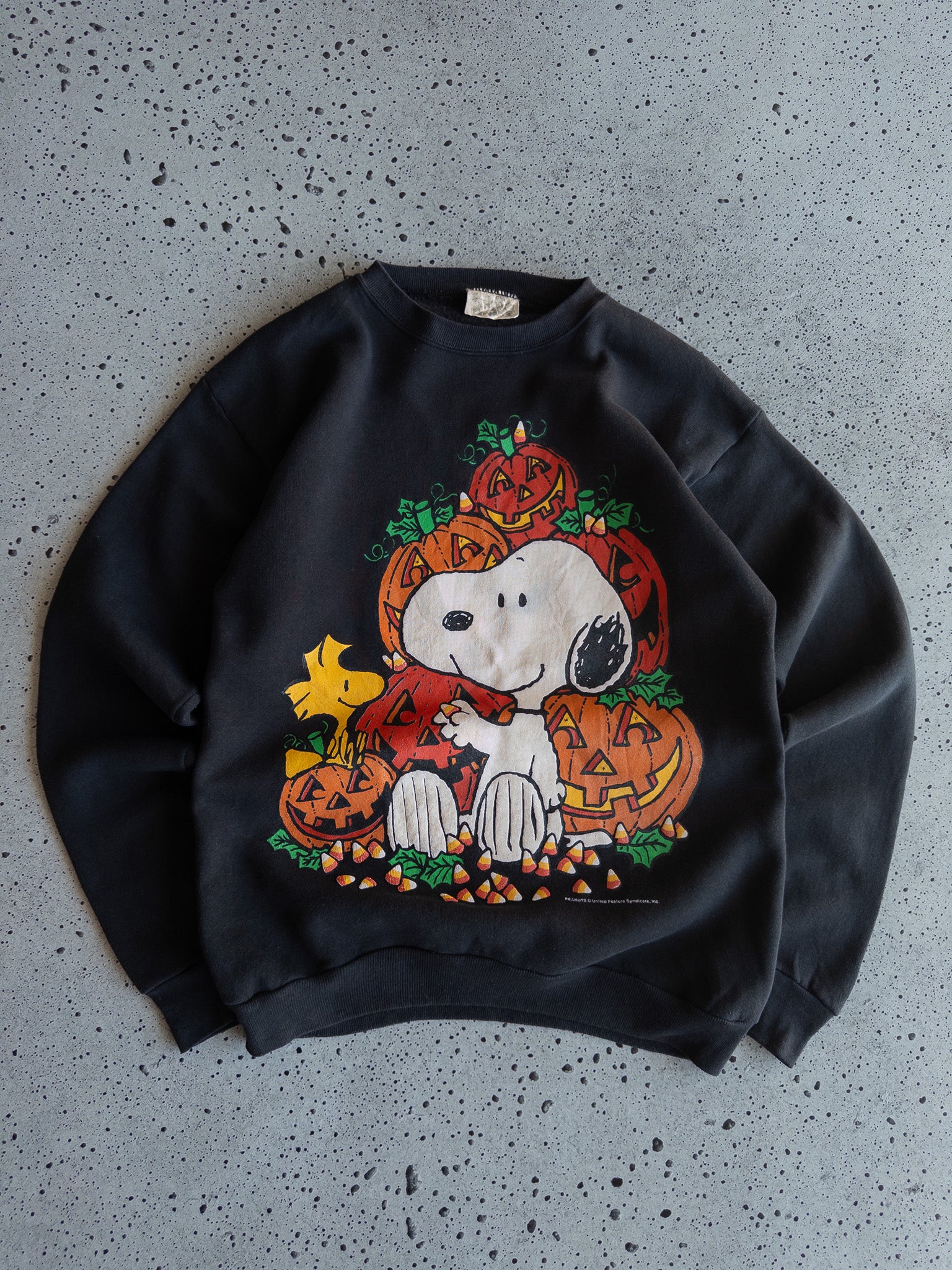 Vintage Snoopy Sweatshirt (M)