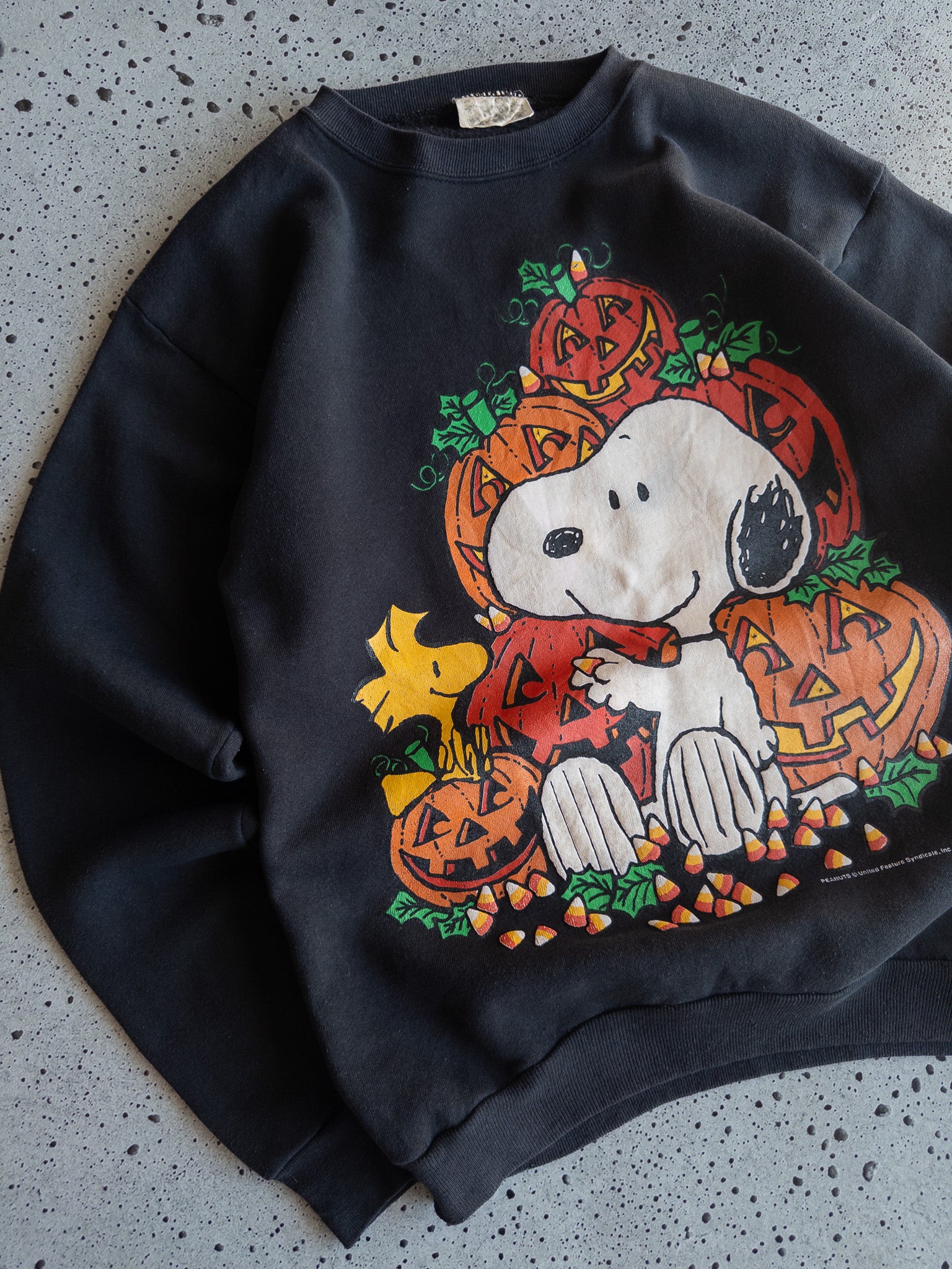 Vintage Snoopy Sweatshirt (M)