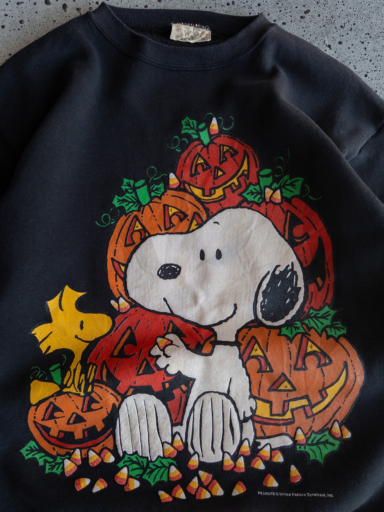 Vintage Snoopy Sweatshirt (M)