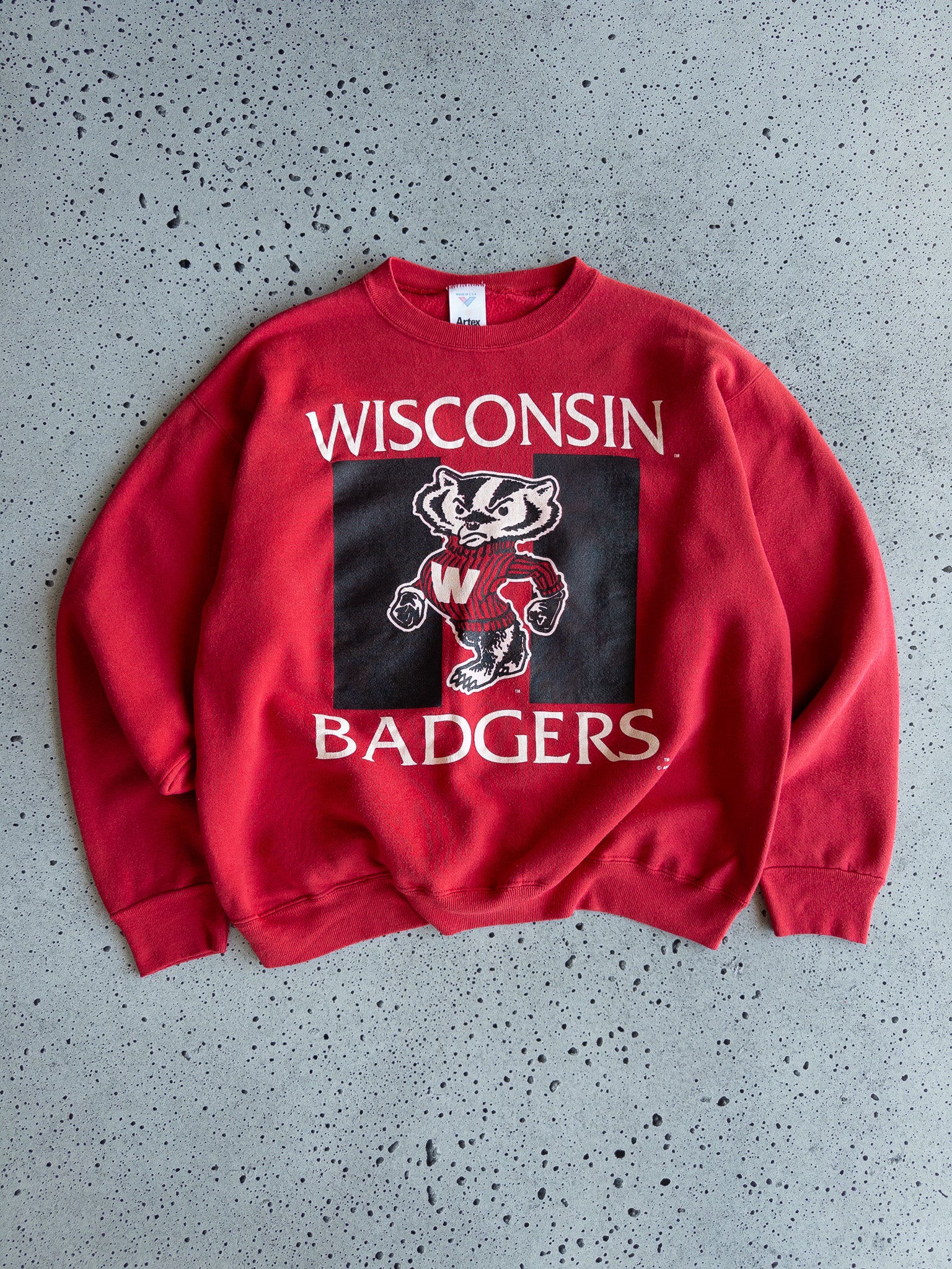 Vintage Wisconsin Badgers Sweatshirt (L)