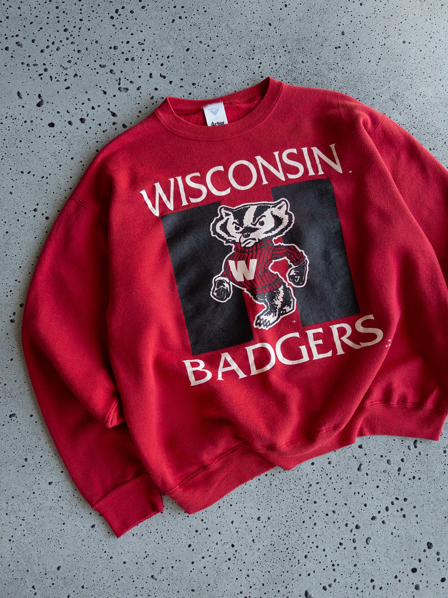 Vintage Wisconsin Badgers Sweatshirt (L)