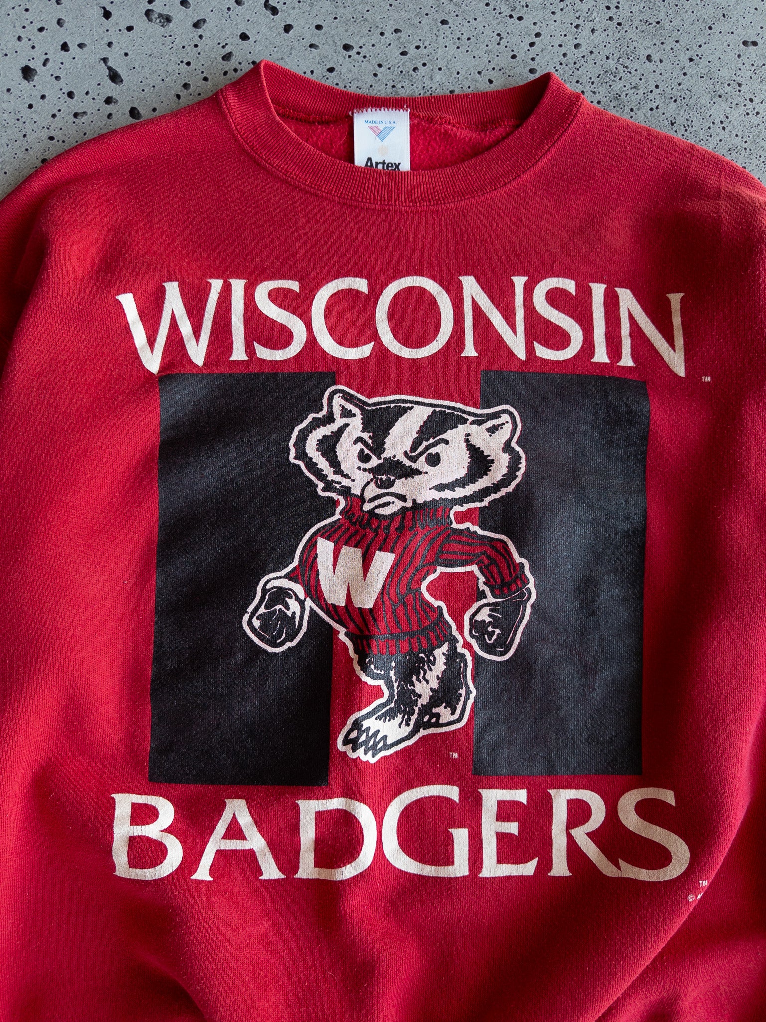 Vintage Wisconsin Badgers Sweatshirt (L)