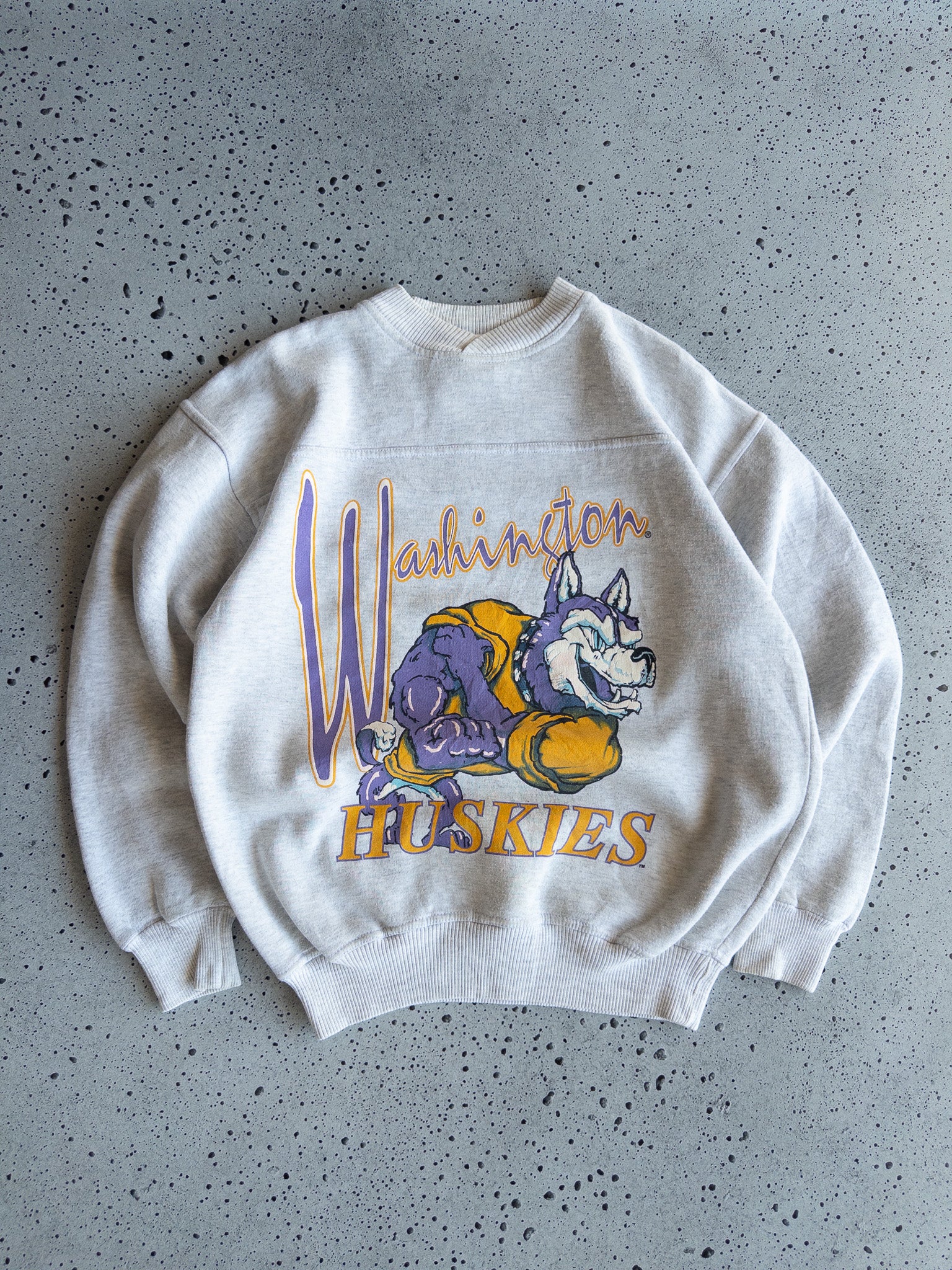 Vintage Washington Huskies Sweatshirt (M)