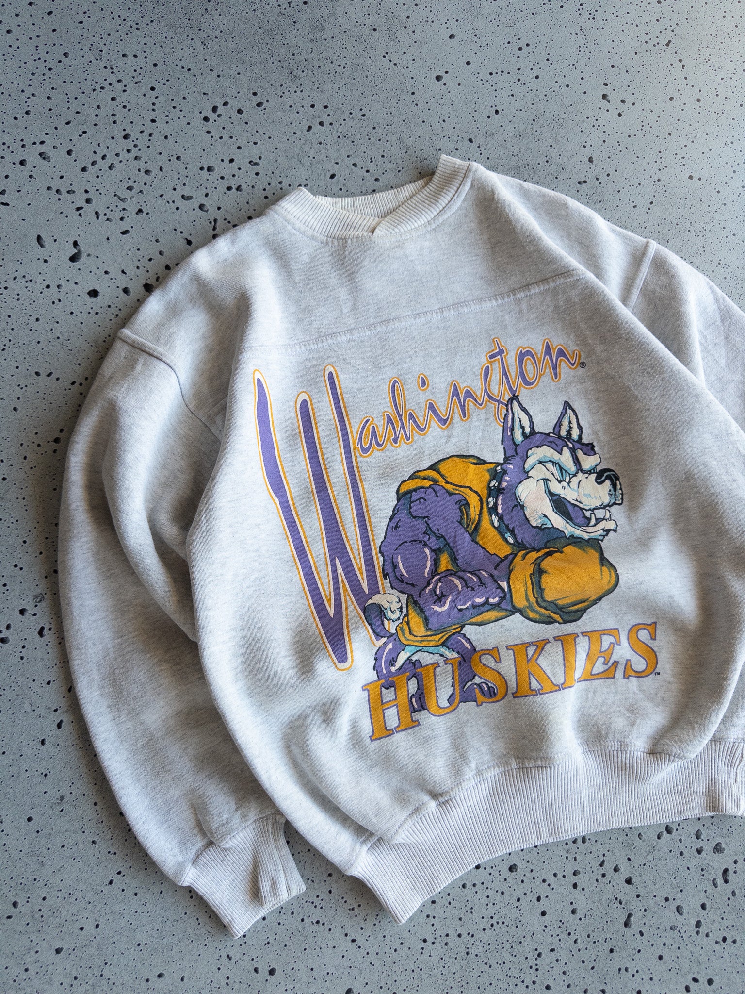 Vintage Washington Huskies Sweatshirt (M)