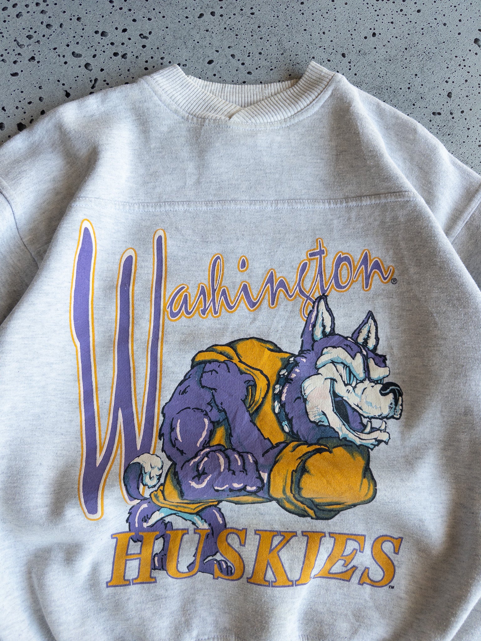 Vintage Washington Huskies Sweatshirt (M)