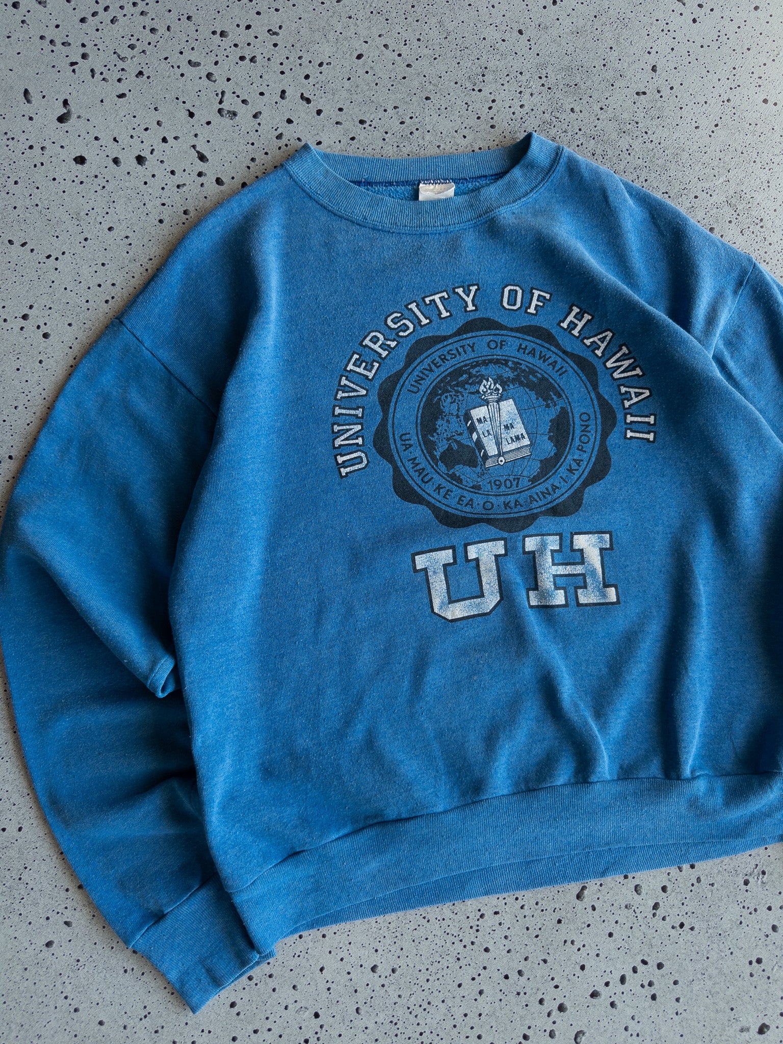 Vintage '90s University Of Hawaii Sweatshirt (M)