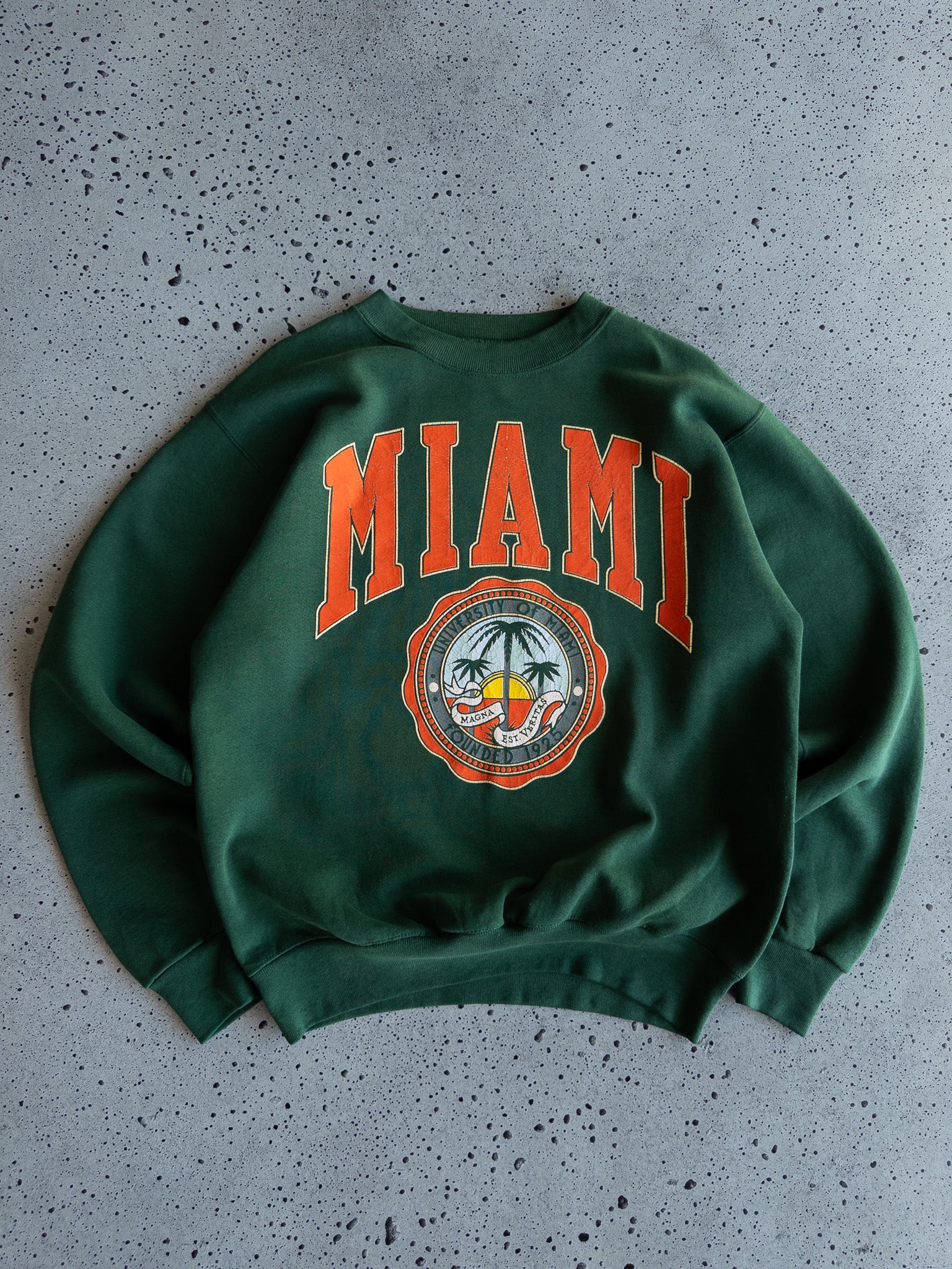 Vintage Miami Hurricanes Sweatshirt (L)