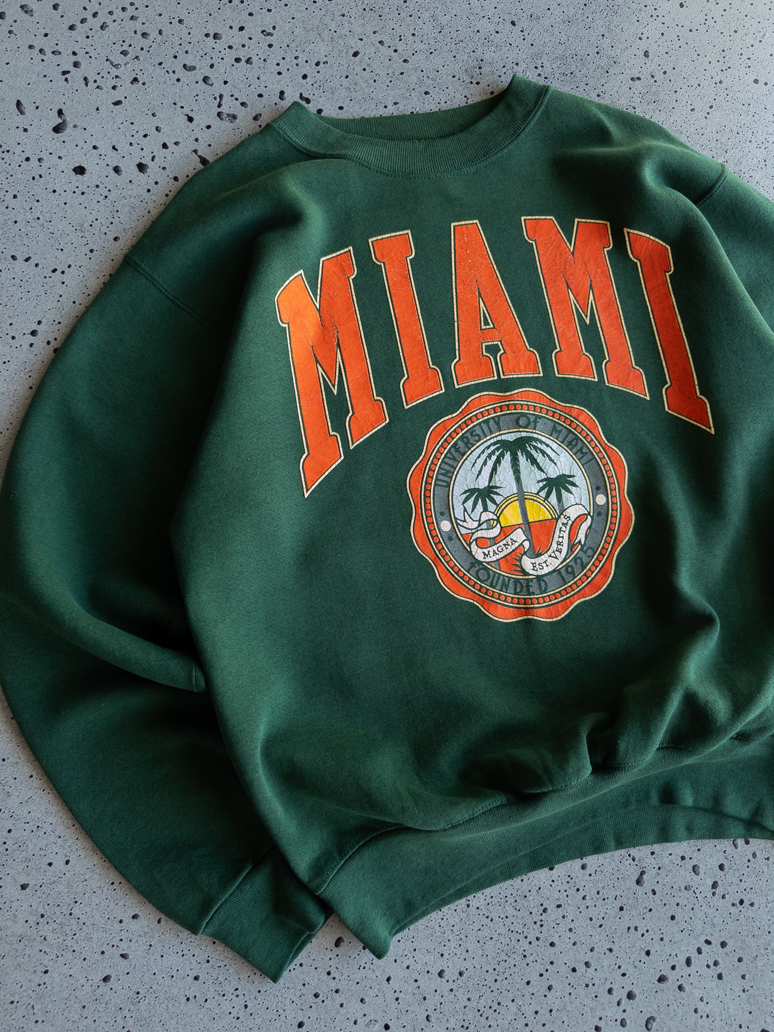 Vintage Miami Hurricanes Sweatshirt (L)