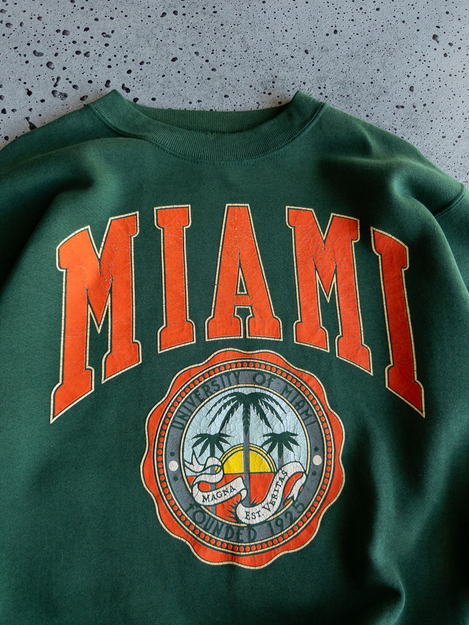 Vintage Miami Hurricanes Sweatshirt (L)