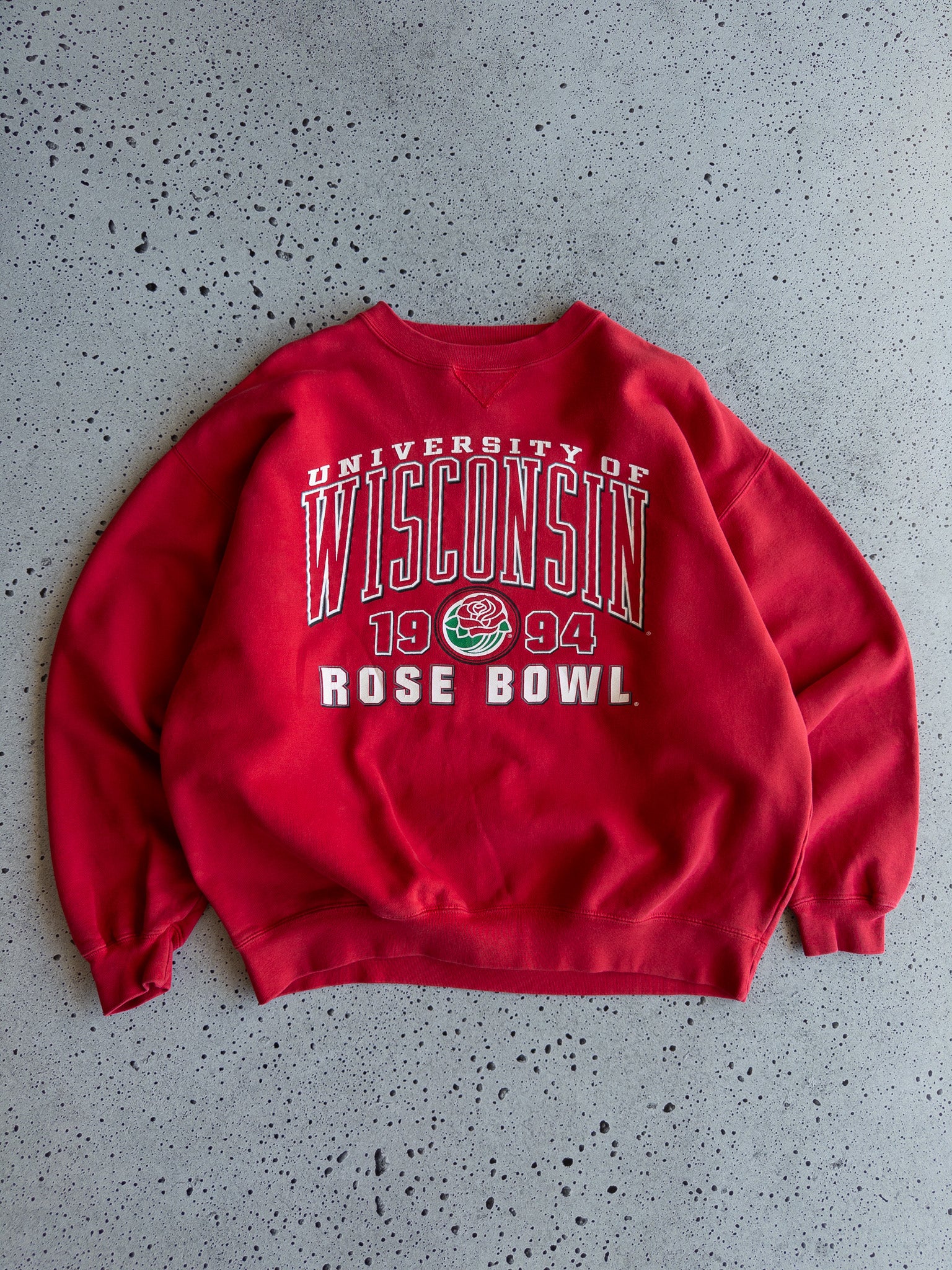 Vintage 1994 University of Wisconsin Sweatshirt (L)