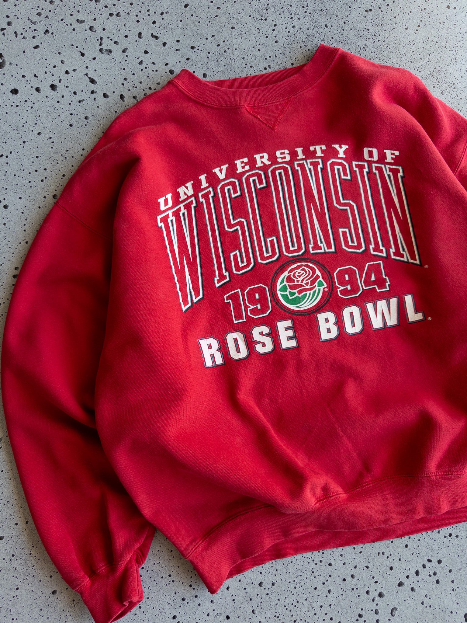 Vintage 1994 University of Wisconsin Sweatshirt (L)