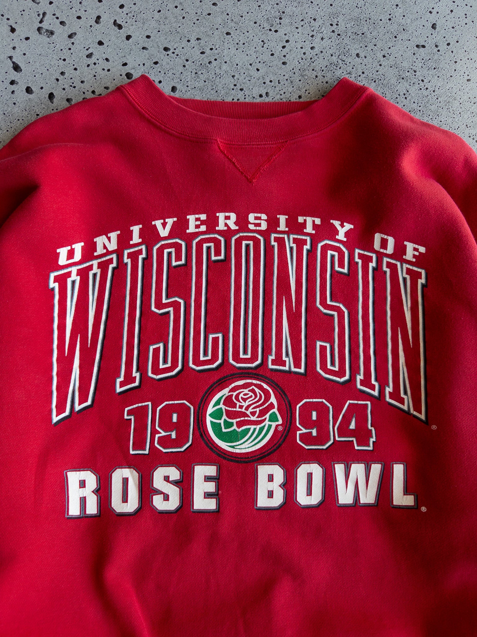 Vintage 1994 University of Wisconsin Sweatshirt (L)