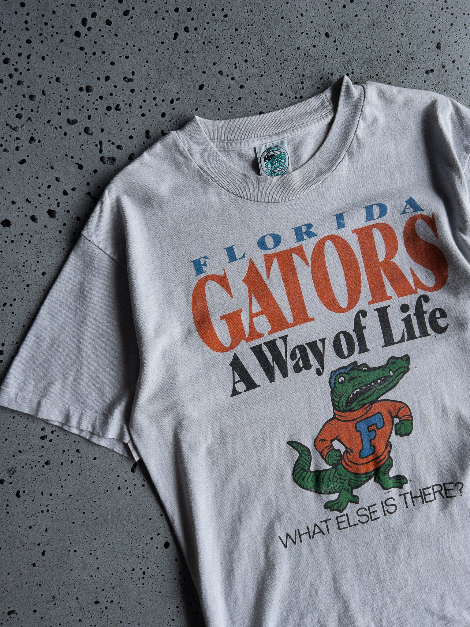 Vintage Florida Gators Tee (L)
